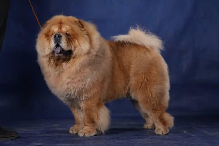 ЮЧР 03.05.2011г.