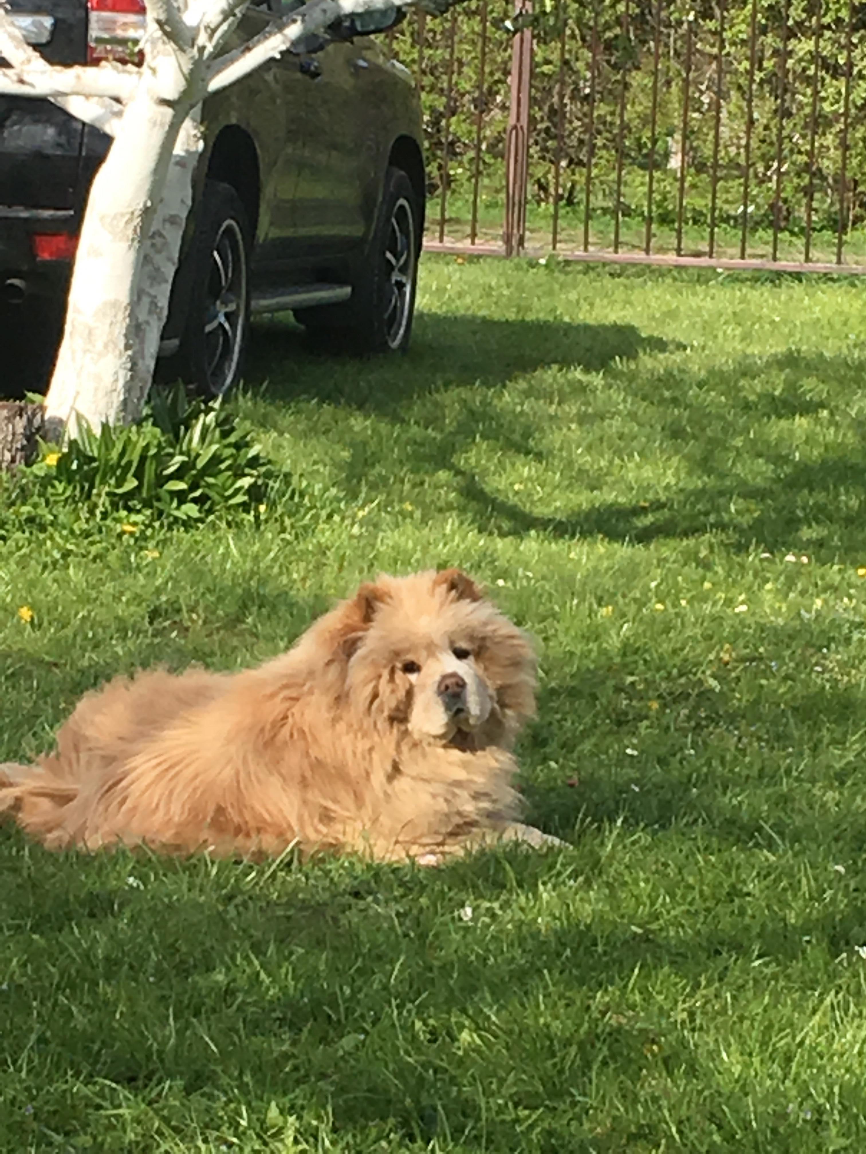 Клото Стефания Гуанчжоу