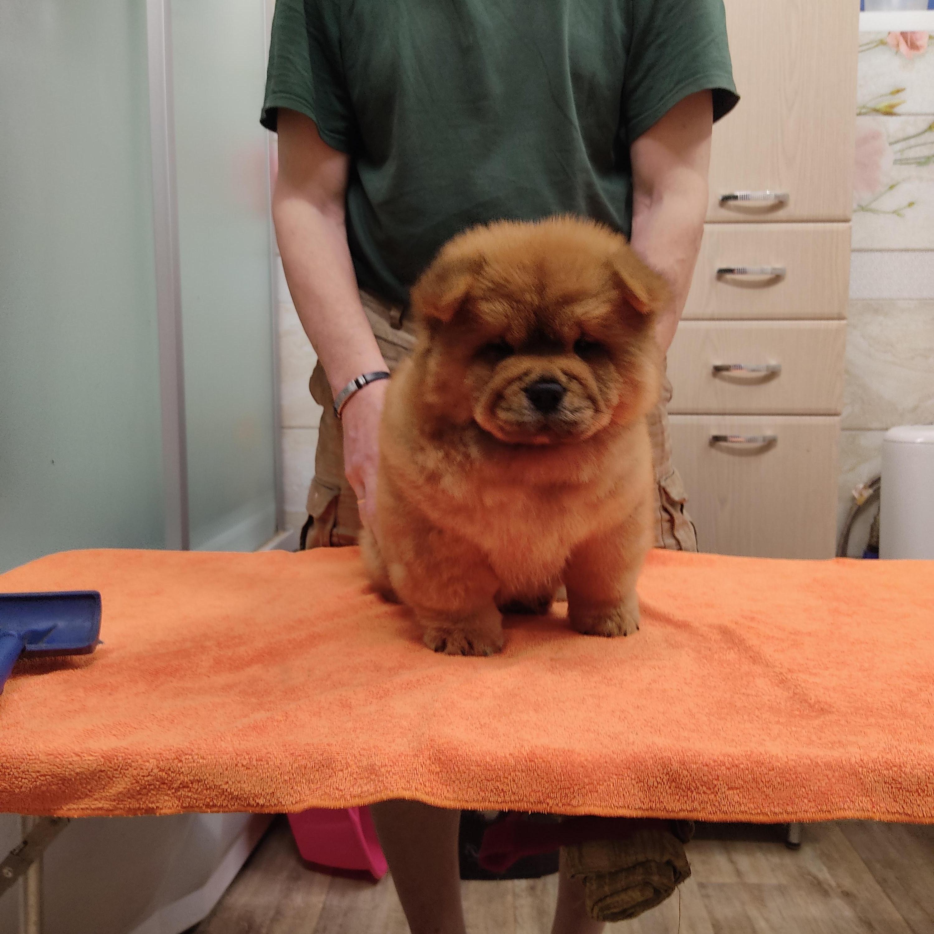 Клото Сани Анджонг