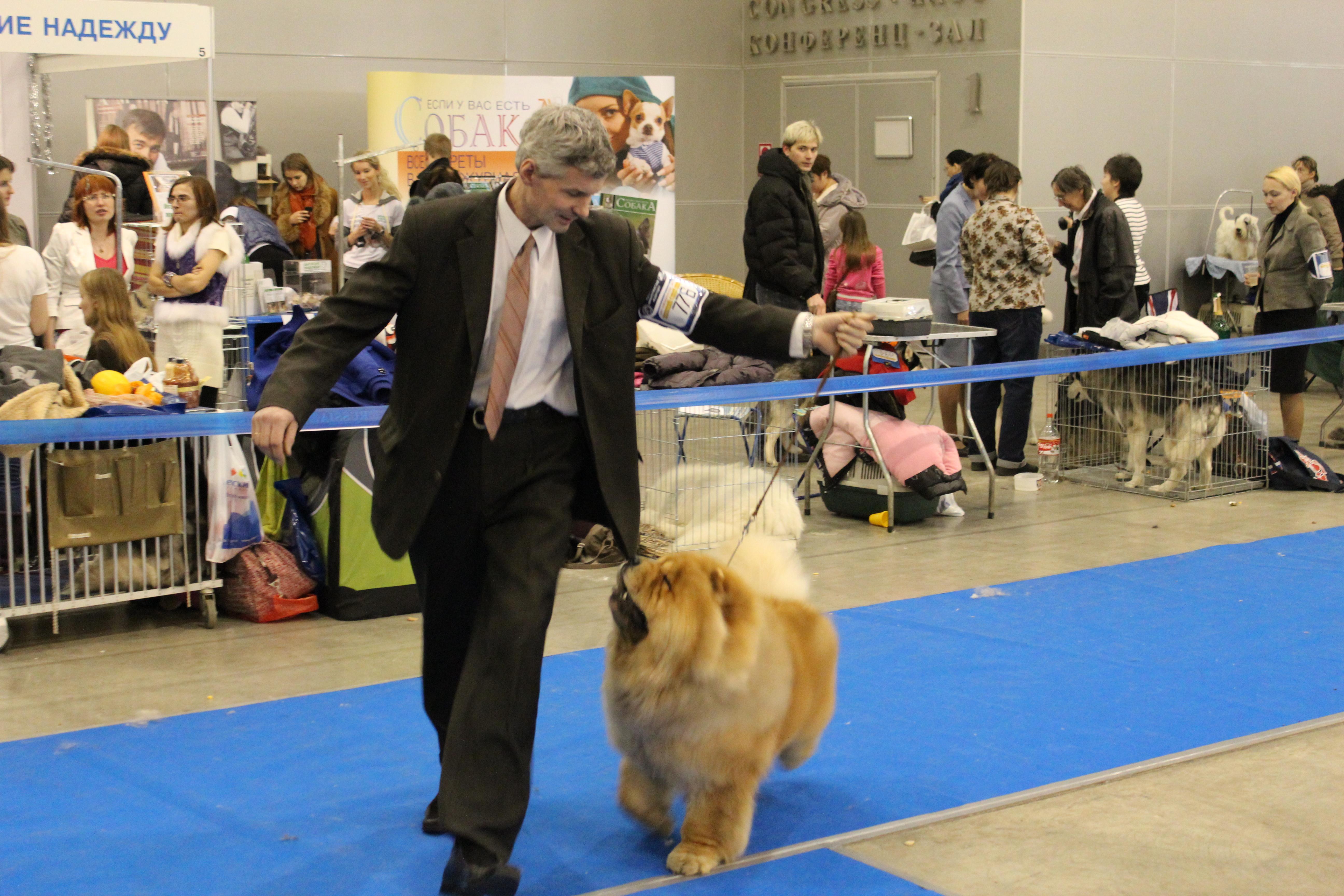 Цезарь 20 месяцев Золотой Ошейник - 2011