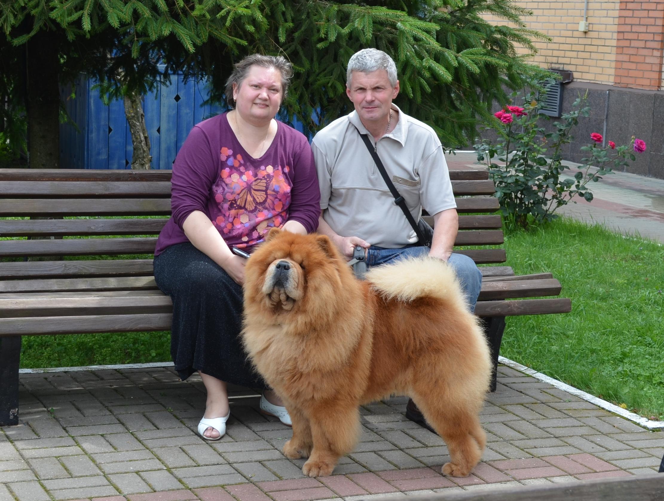 Сеня - 4,5 года -  Курск-2017 - 30.07.2017г. - отл. 2