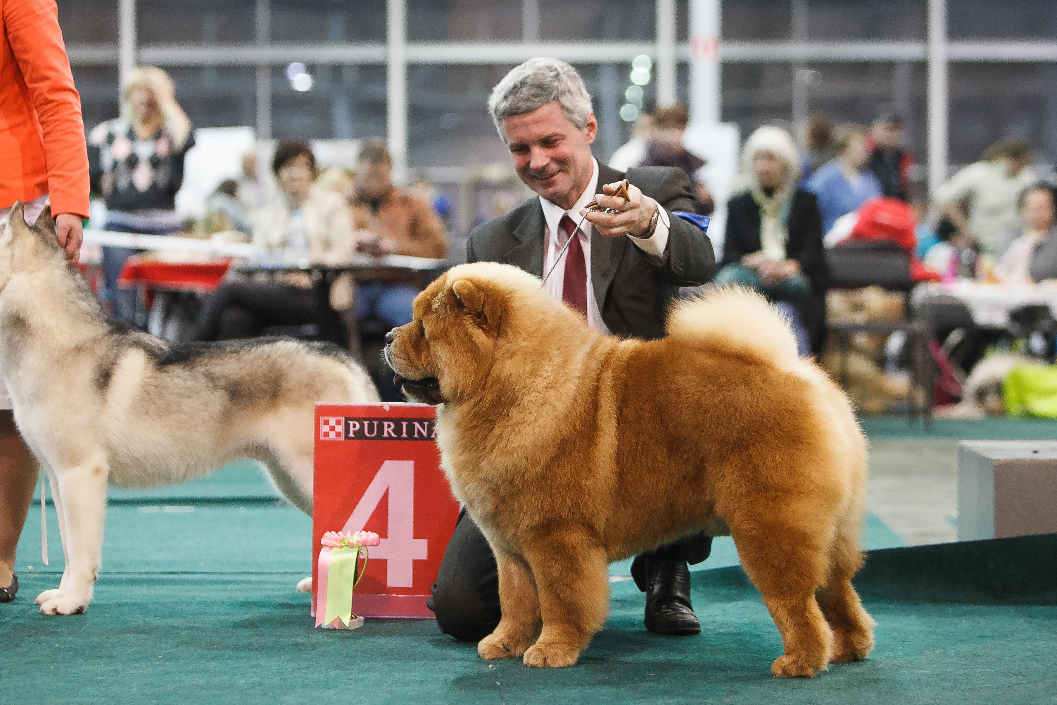 ЛЮ, ЛПП, 16 ноября 2013 Сокольники