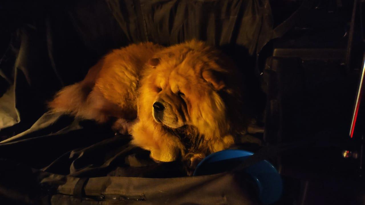 Клото Сантия Ли Мей 