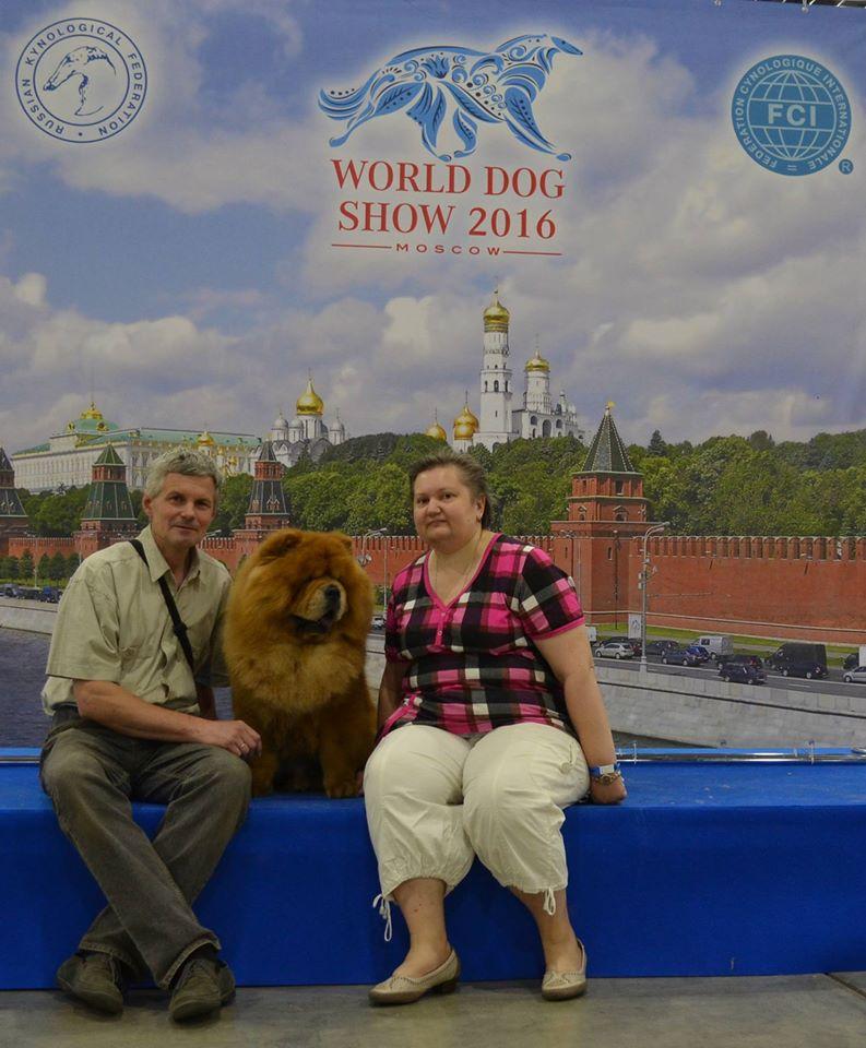 Сеня - 3,5 года - Москва WDS-2016  - 24.06.2016г. - отл. - 4 (26 собак по каталогу в классе чемпионов)