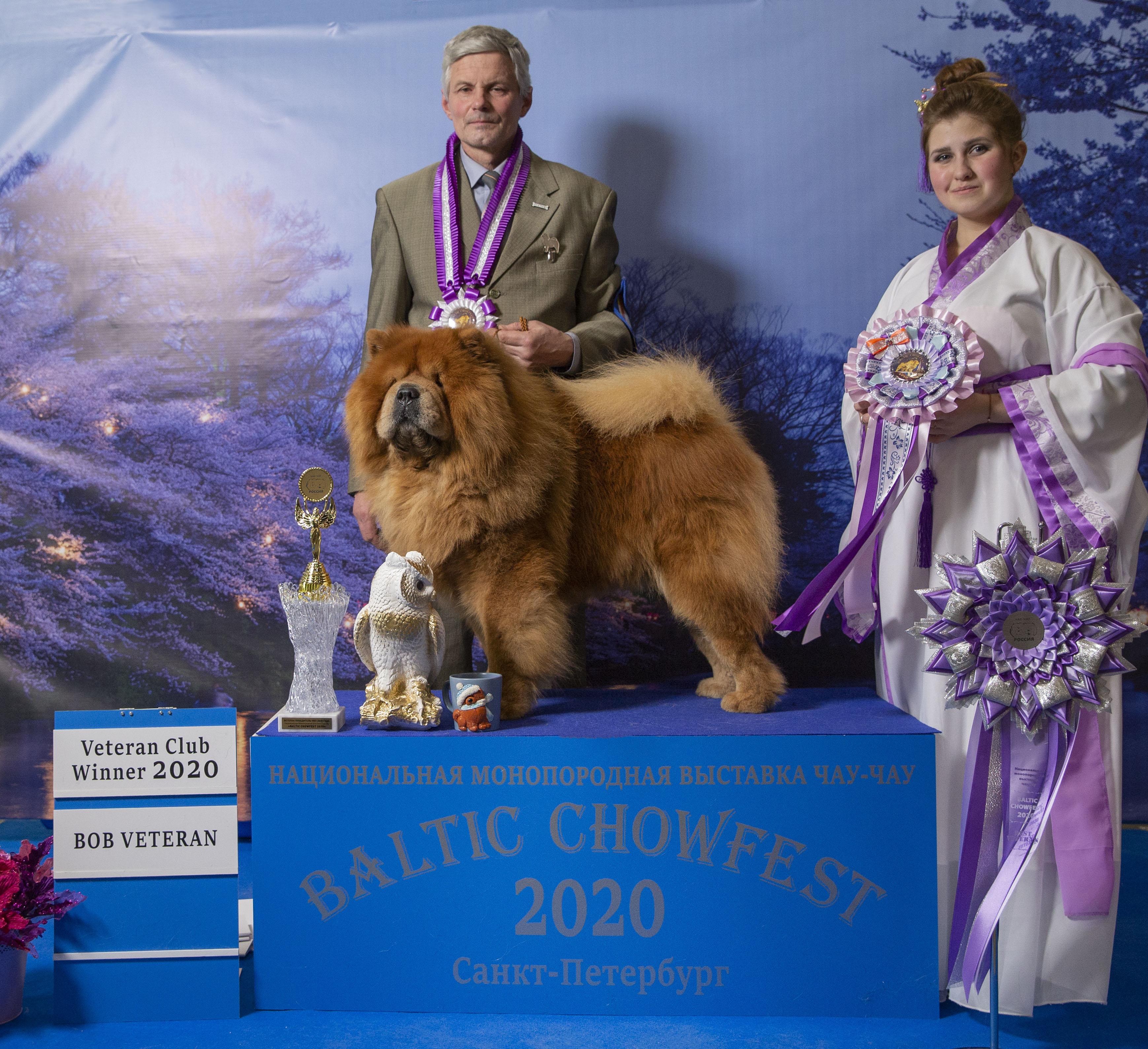 Сеня - 8 лет - г. Сант-Петербург моно - 12.12.2020 - отл.1, ЛВ, VКЧК