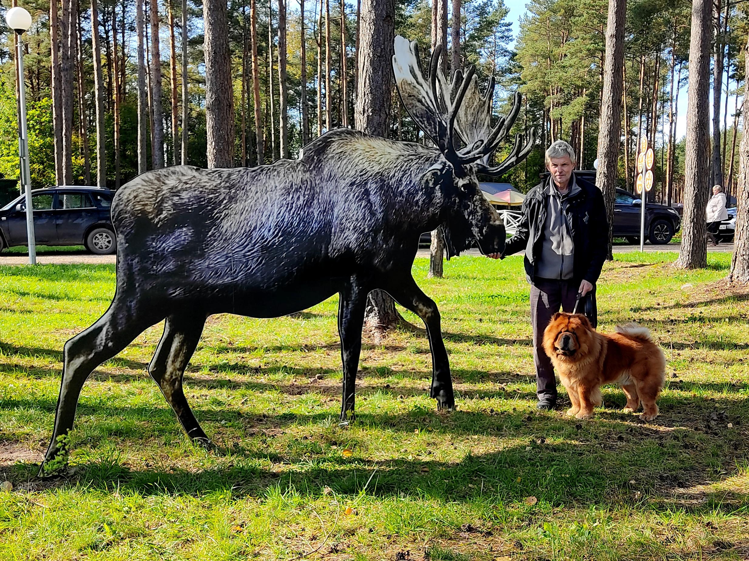 Сеня - 2,5 года - Евразия-2015 - 21.03.2015г. - отл. 3