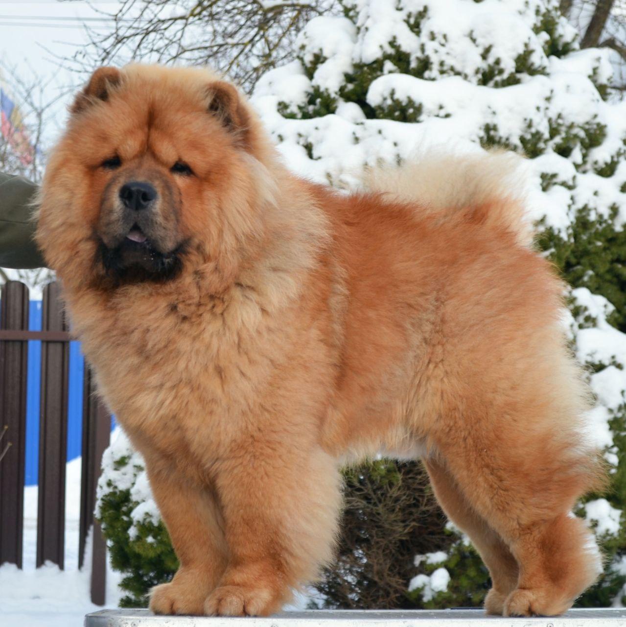 Сеня 7 месяцев