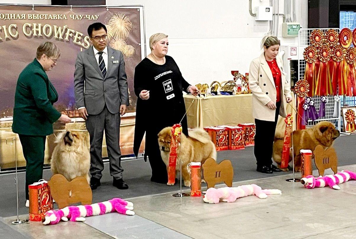 Клото Сантия Ли Мей 