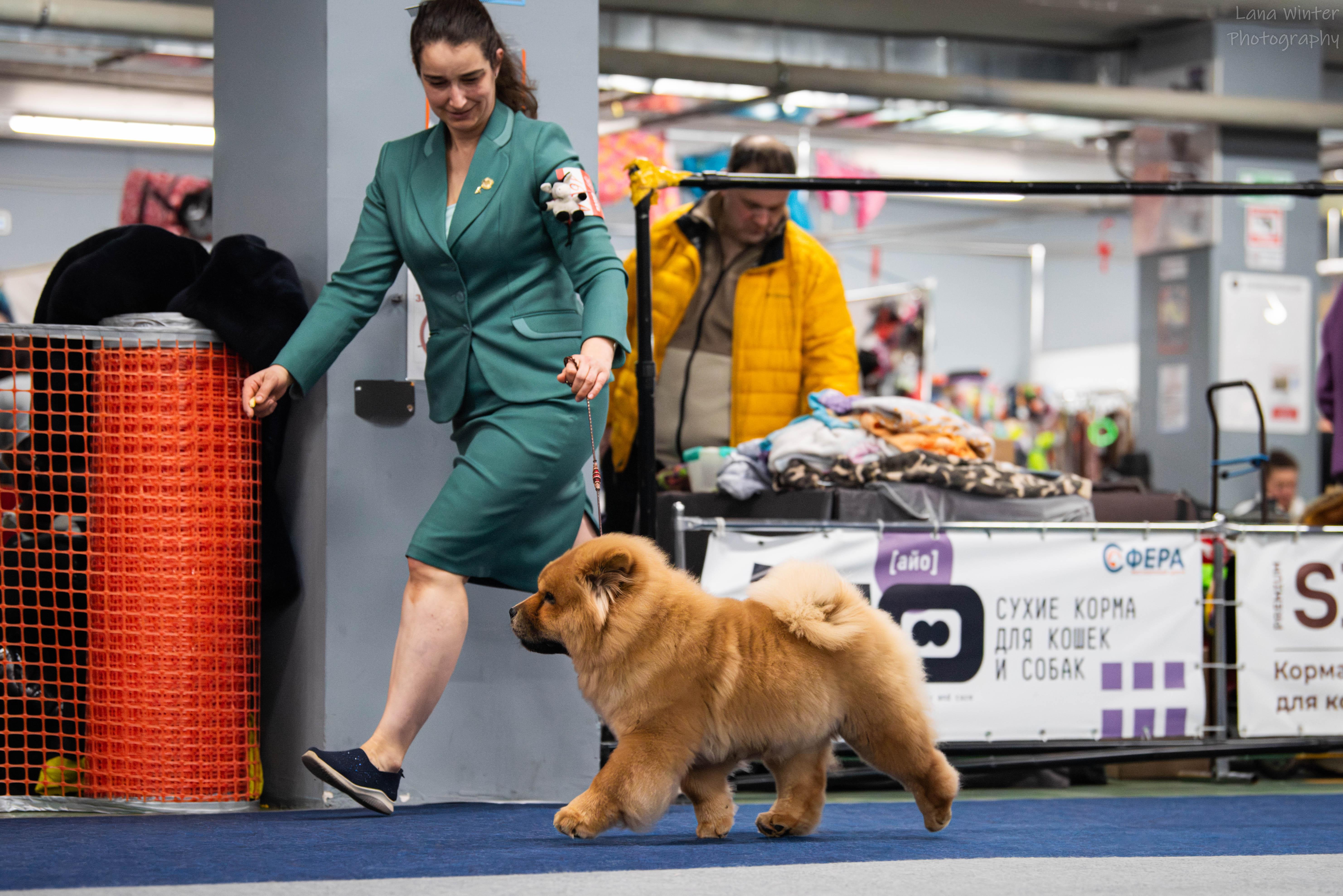 25.10.2025 Hip-Hop Djalo 