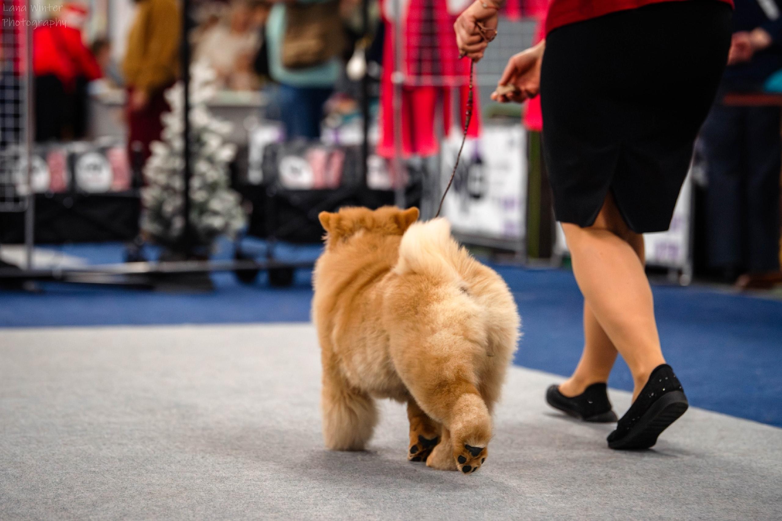 25.10.2025 Hip-Hop Djalo 