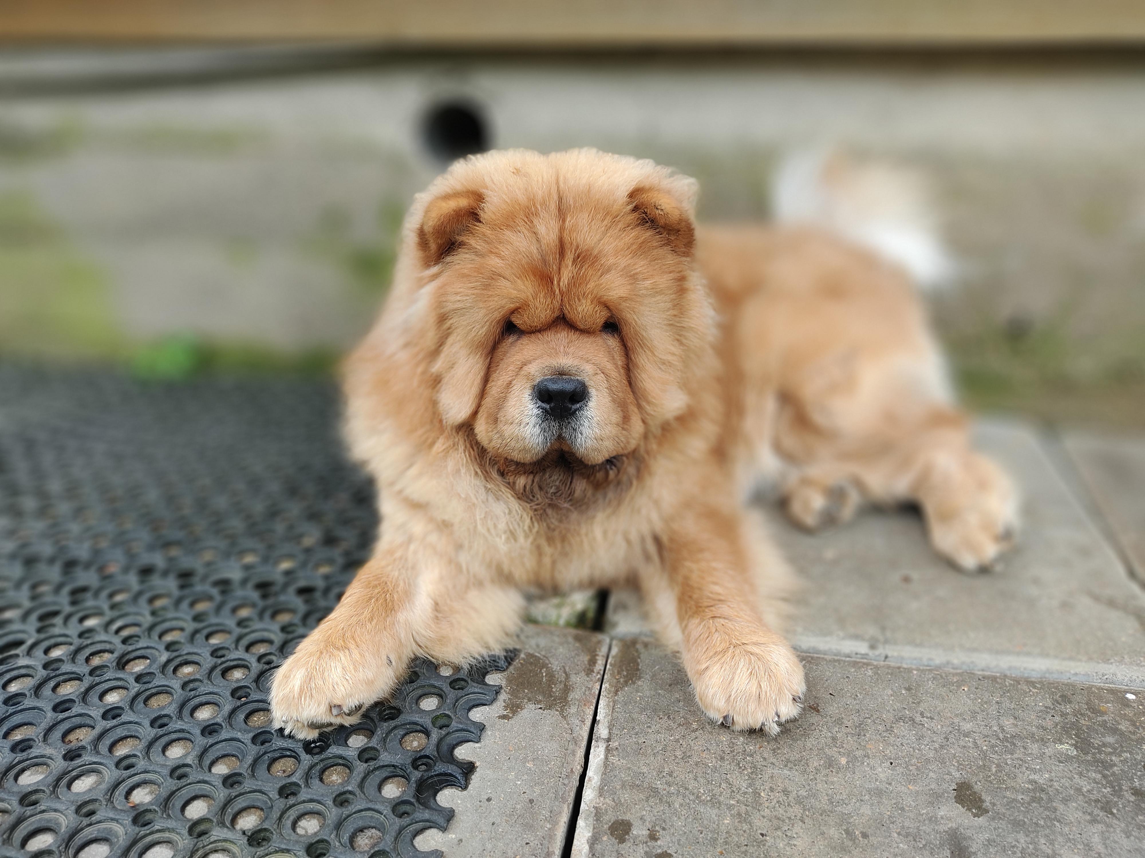 Сеня 7 месяцев