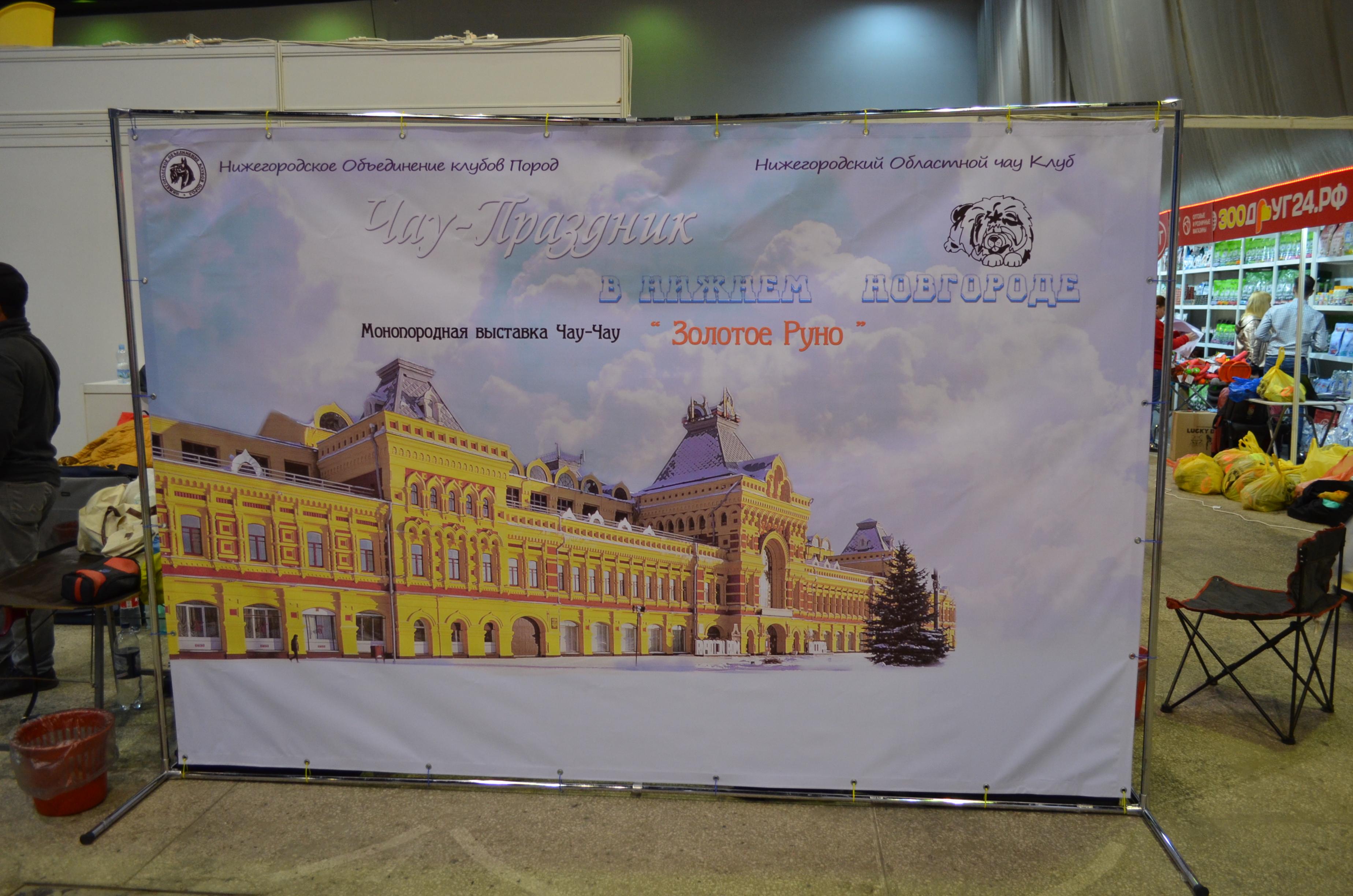 Сеня первая выставка  16.02.2013, ЛБ