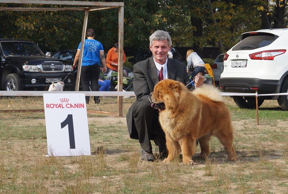 Сеня - 22 месяца - Пушкино - 13.09.2014 - отл., CW, ЛК, ЛПП, BIG-4