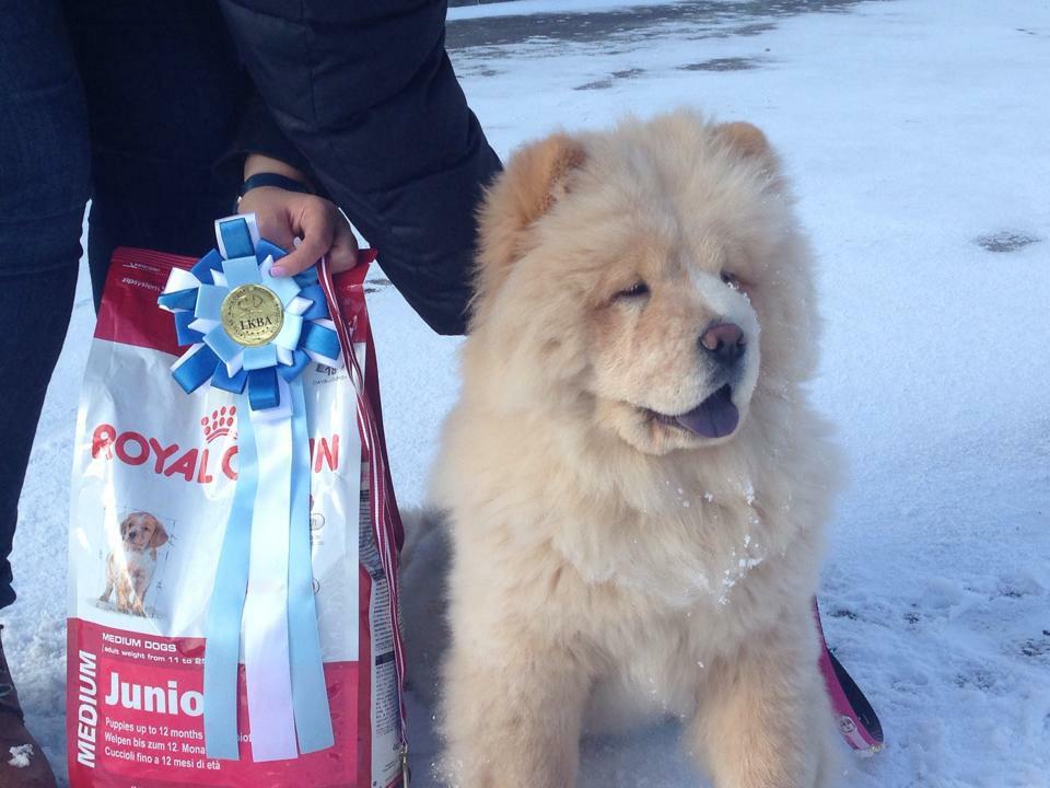 Клото Стефания Гуанчжоу