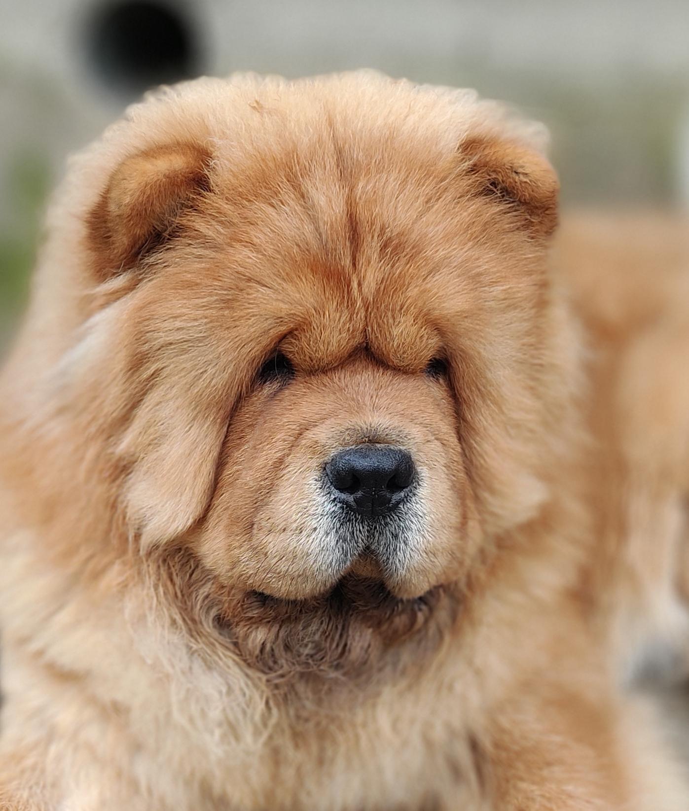 Сеня 7 месяцев