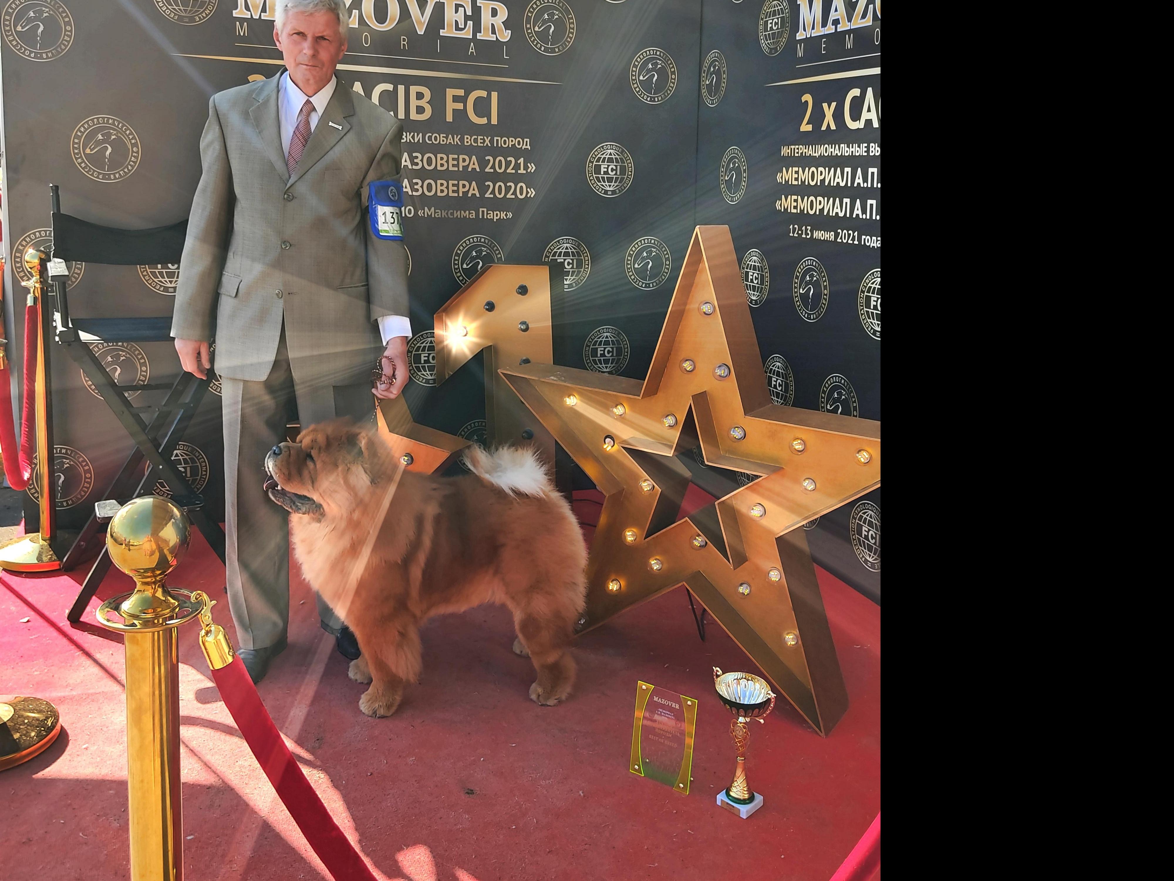 Сеня - 2,5 года - Евразия-2015 - 21.03.2015г. - отл. 3