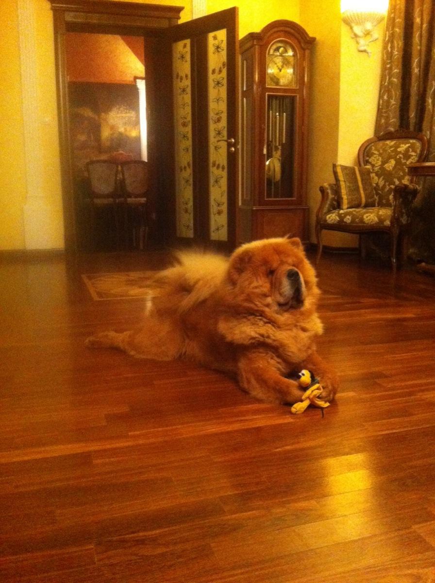 Клото Сани Анджонг