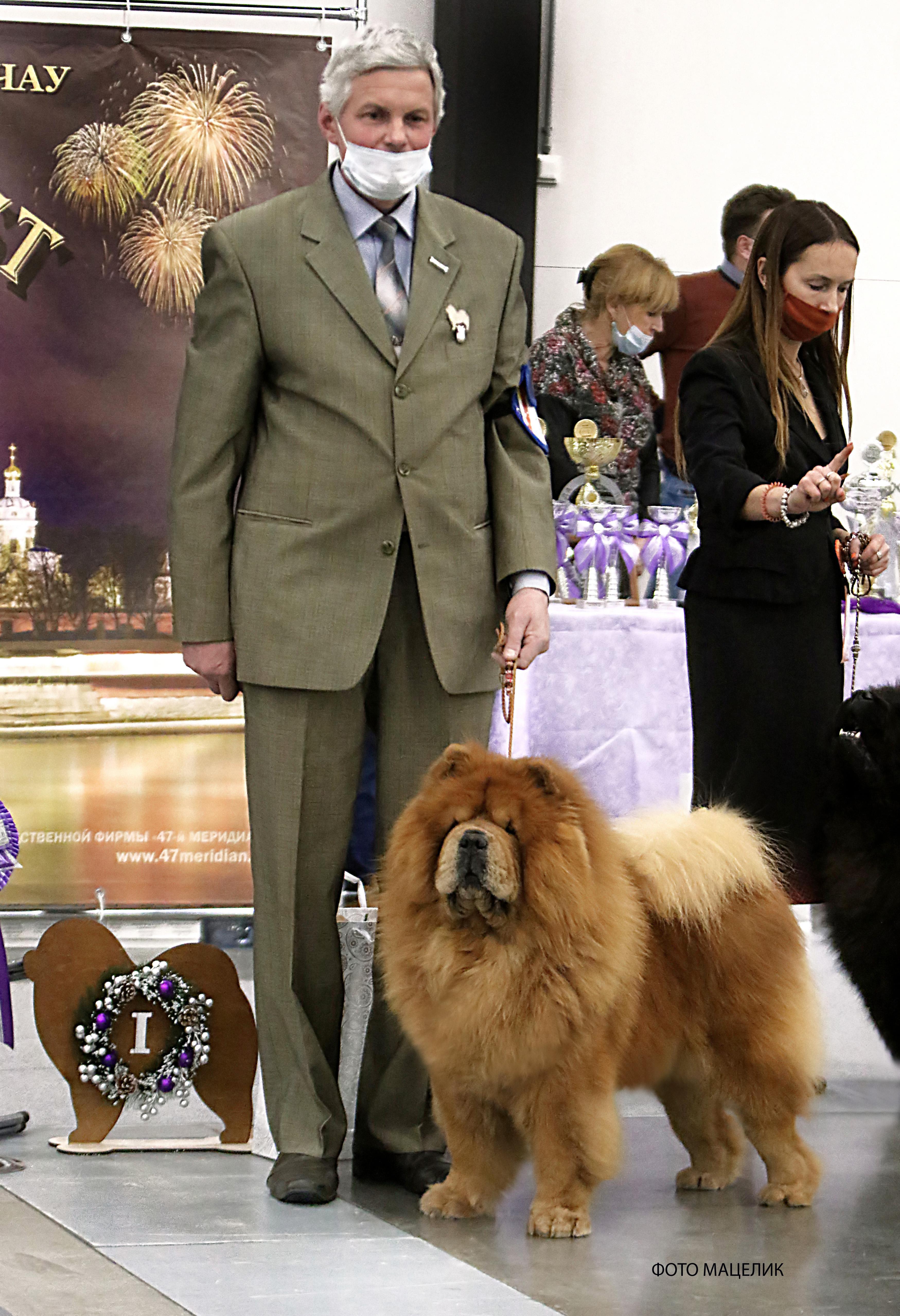 Сеня - 8 лет - г. Сант-Петербург моно - 12.12.2020 - отл.1, ЛВ, VКЧК