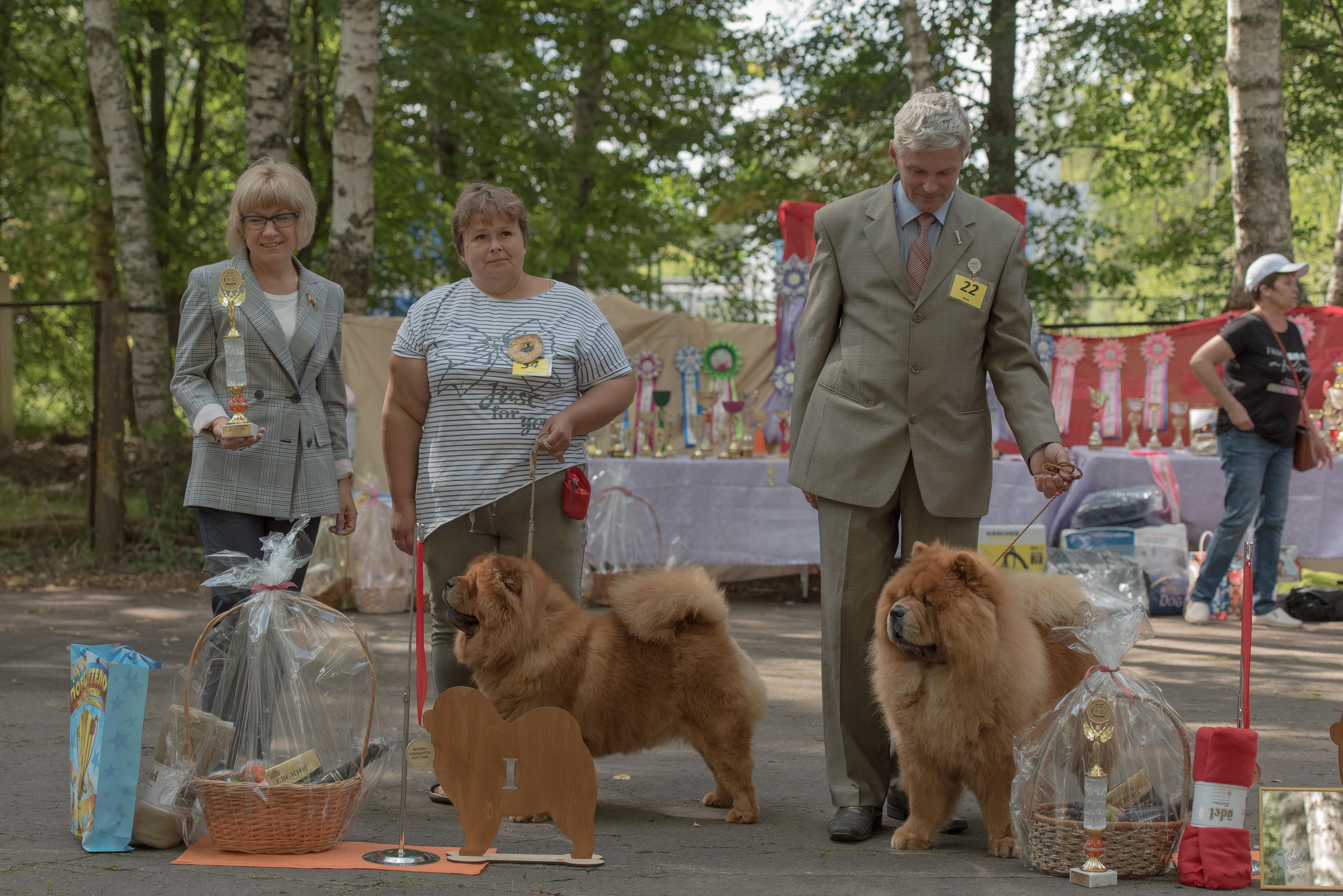 Сеня - 9,5 лет - Национальная моно г. Тверь  - 14.08.2021г.- отл.1, ЛКВ, VКЧК, ВПГ