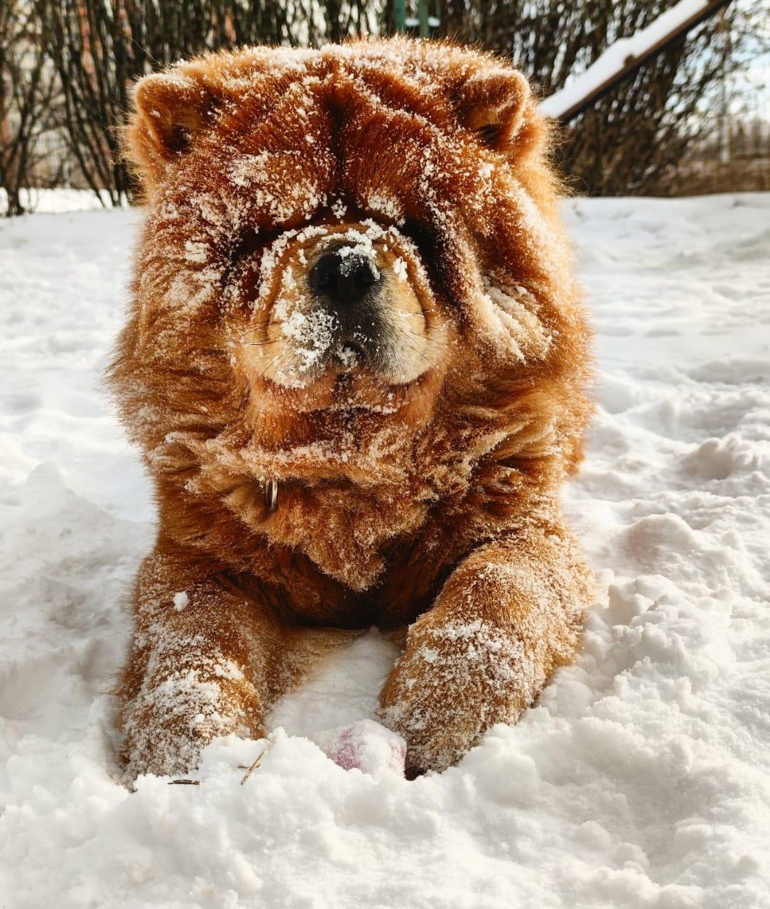 Клото Сани Анджонг