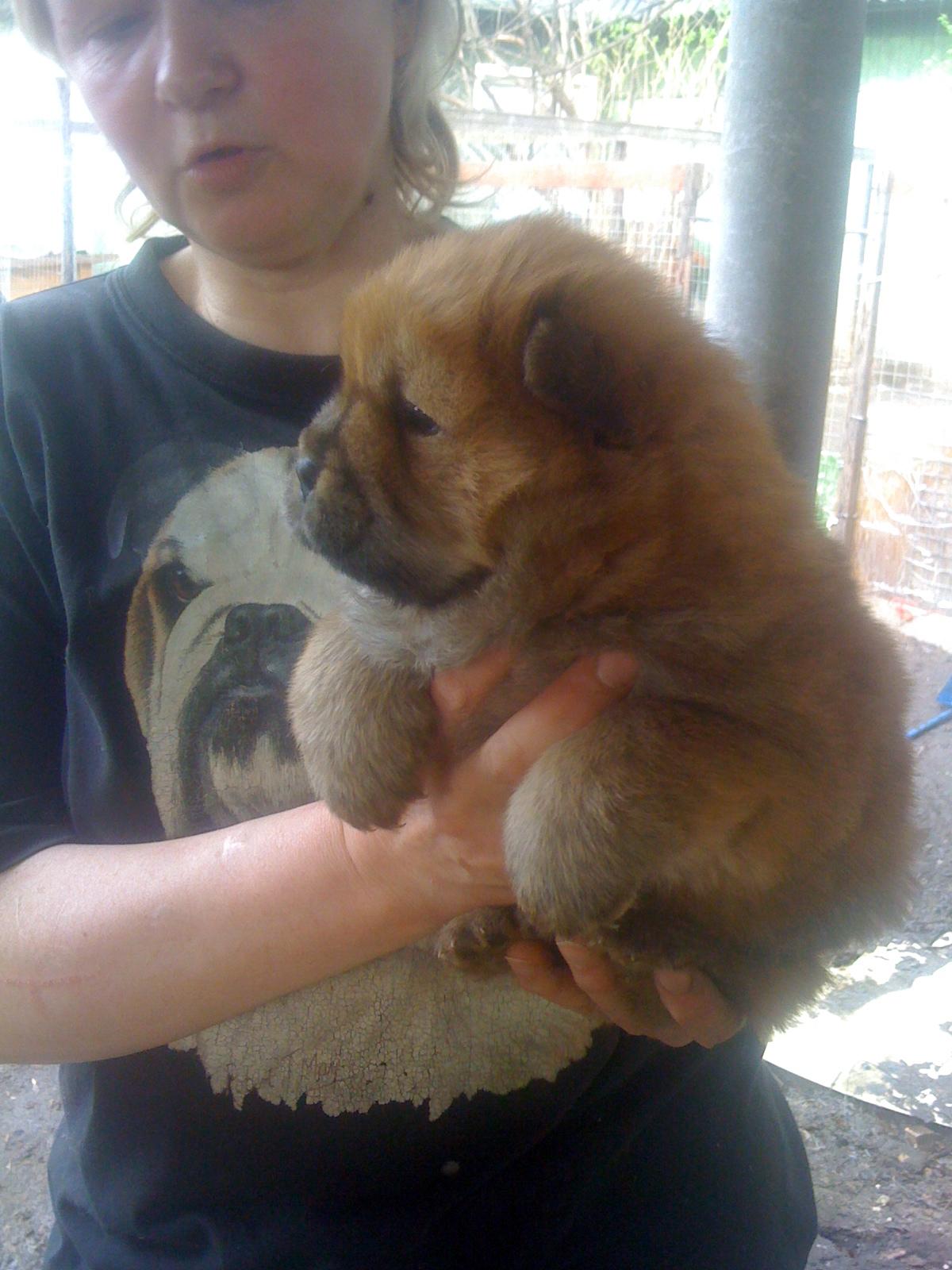 Цезарь первая встреча 1 месяц