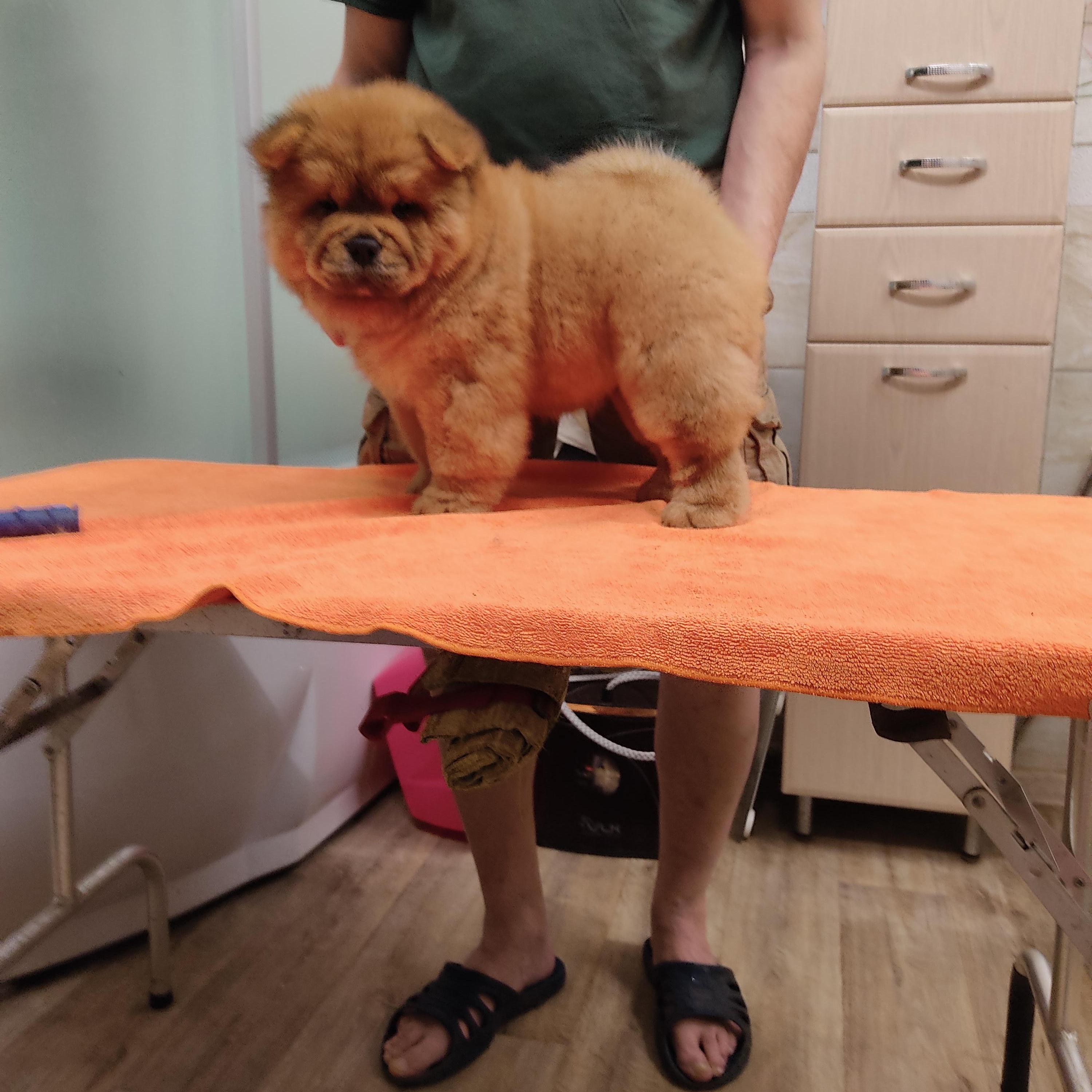 Клото Сани Анджонг