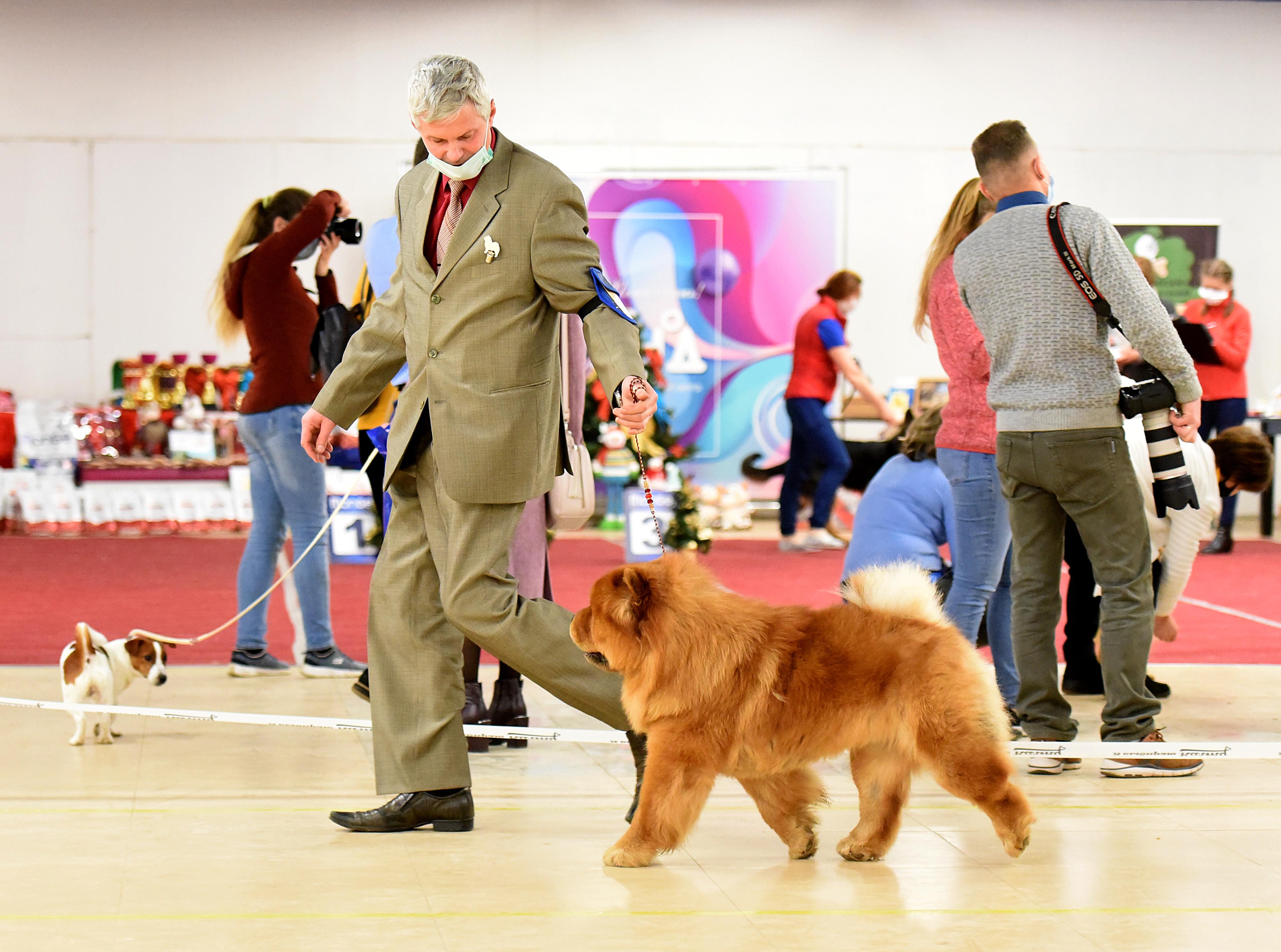 Сеня - 15 месяцев - Фауна - 08.02.2014 - отл., CW, САС, ЧФ