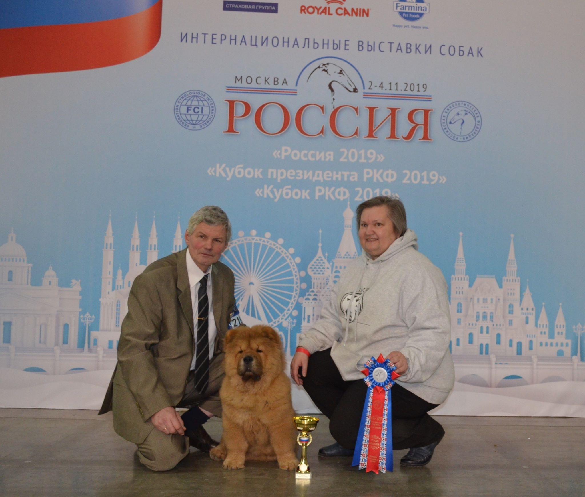 Сеня первая выставка  16.02.2013, ЛБ