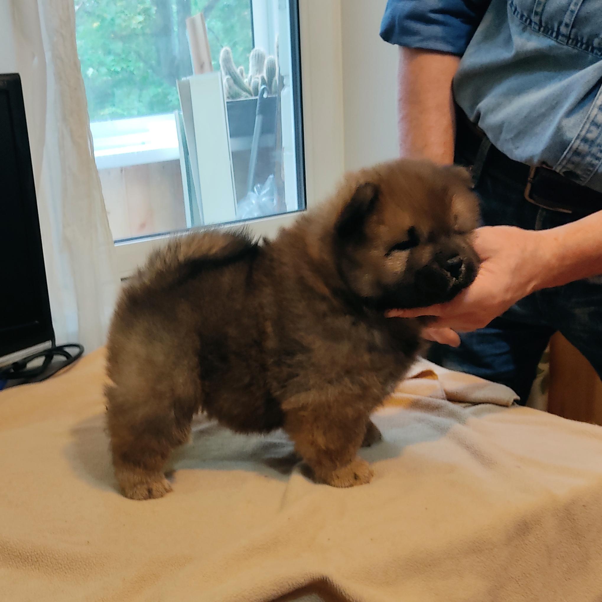 Клото Сани Анджонг