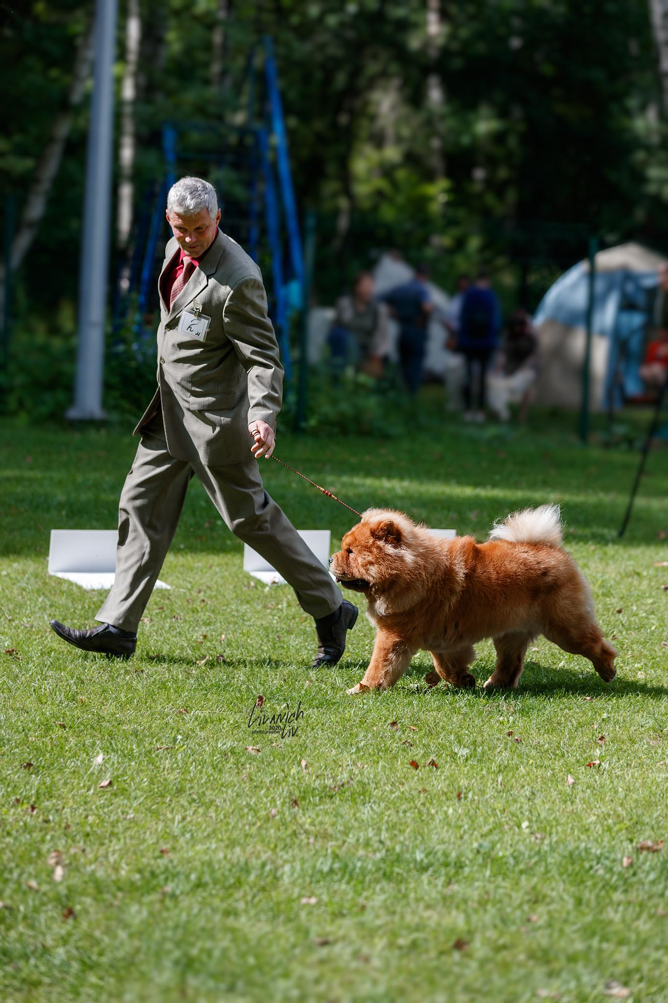Сеня - 15 месяцев - Фауна - 08.02.2014 - отл., CW, САС, ЧФ
