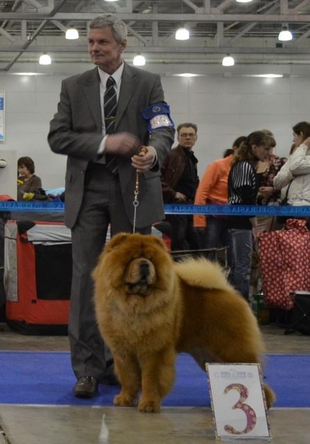 Сеня - 2,5 года - Евразия-2015 - 21.03.2015г. - отл. 3