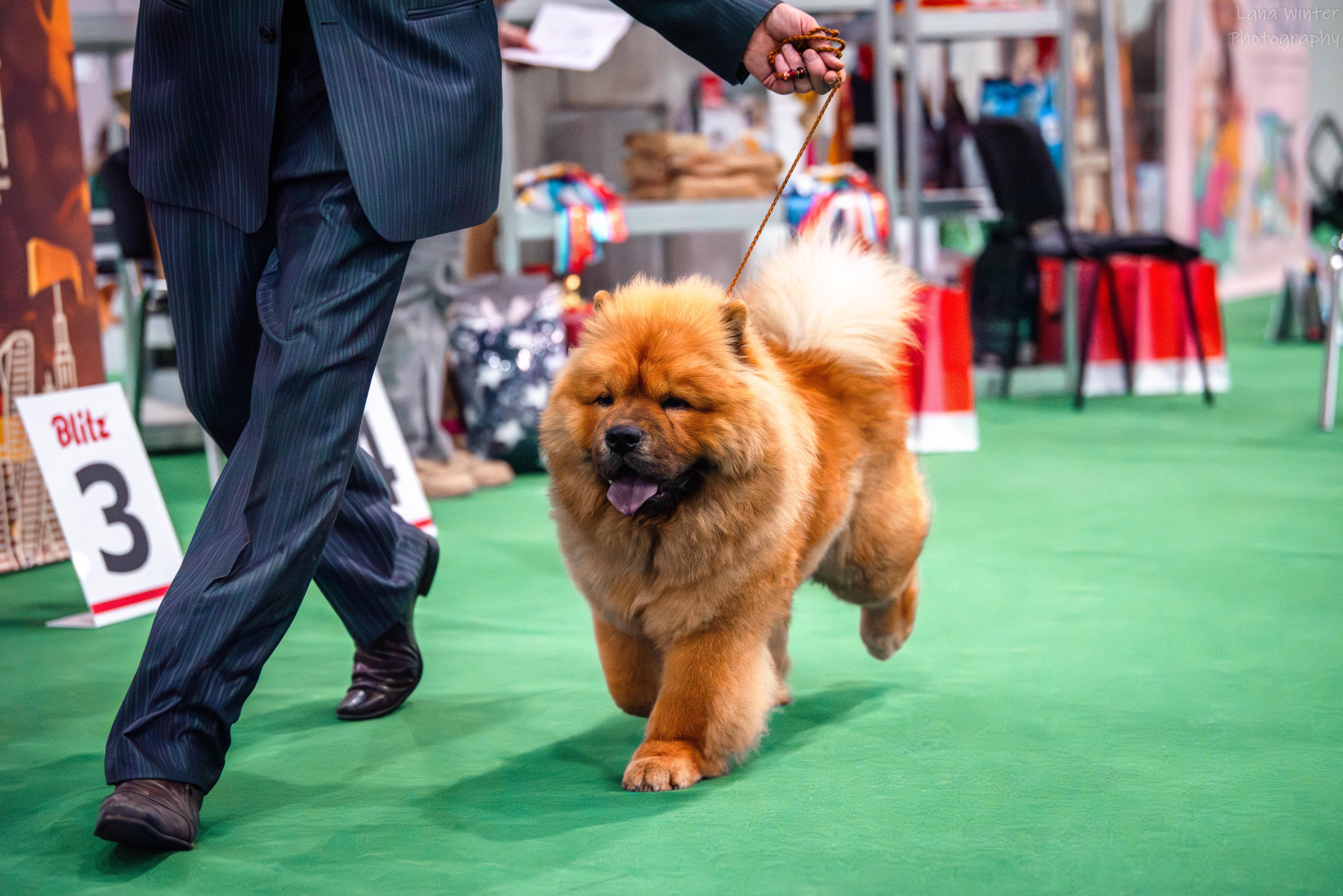 февраль 2013г. - 5 месяцев