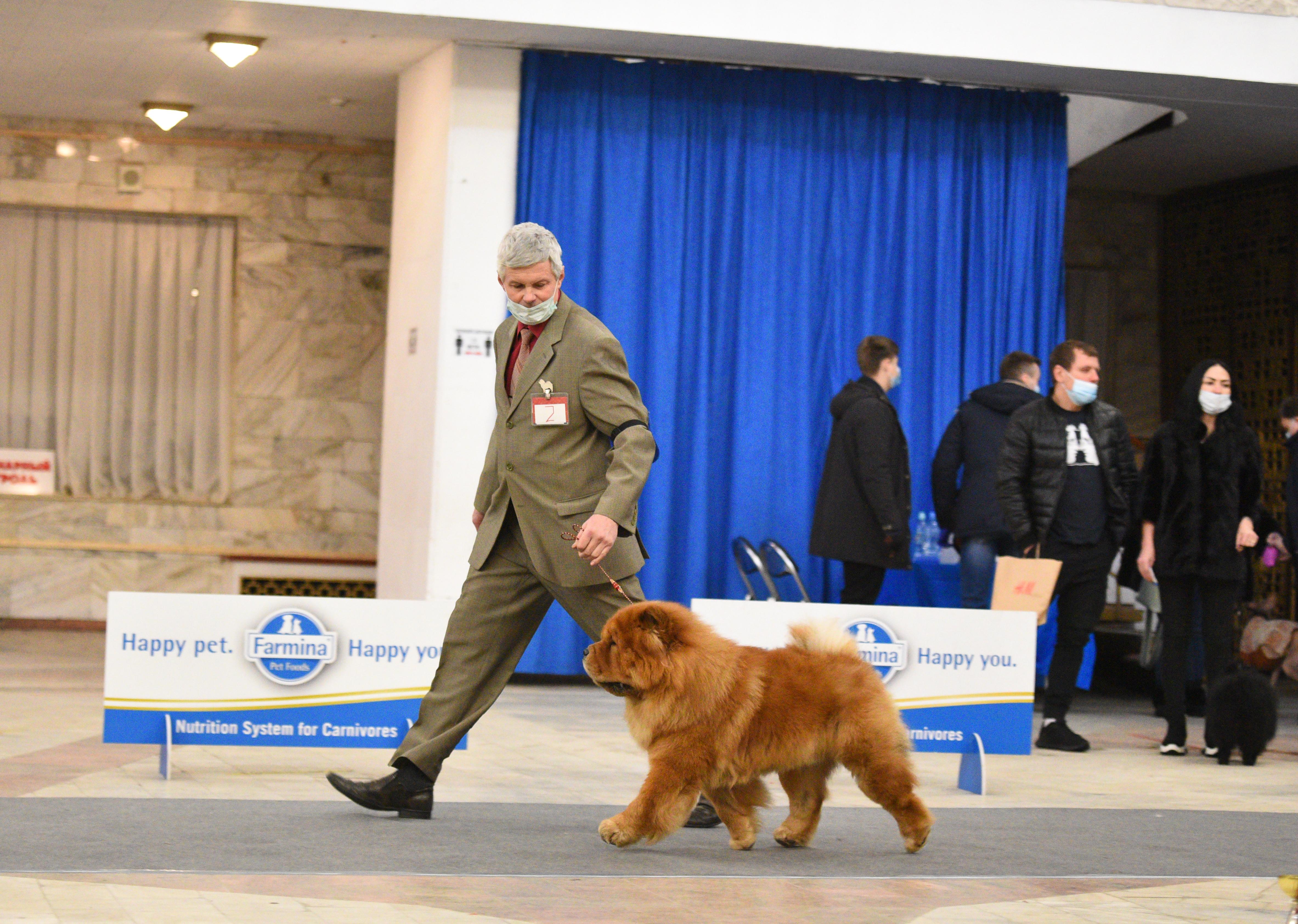 Сеня - 15 месяцев - Фауна - 08.02.2014 - отл., CW, САС, ЧФ