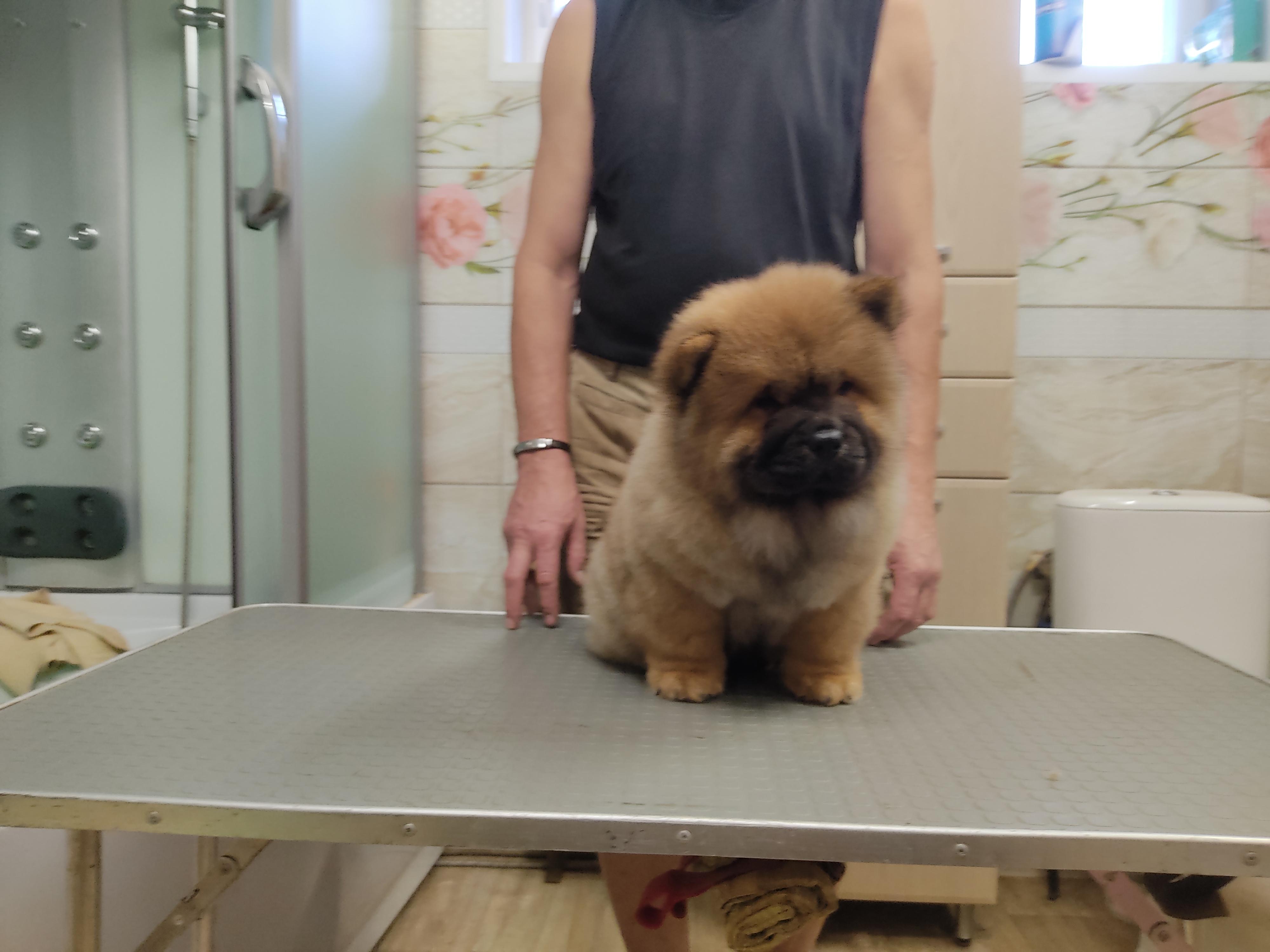 Клото Сани Анджонг