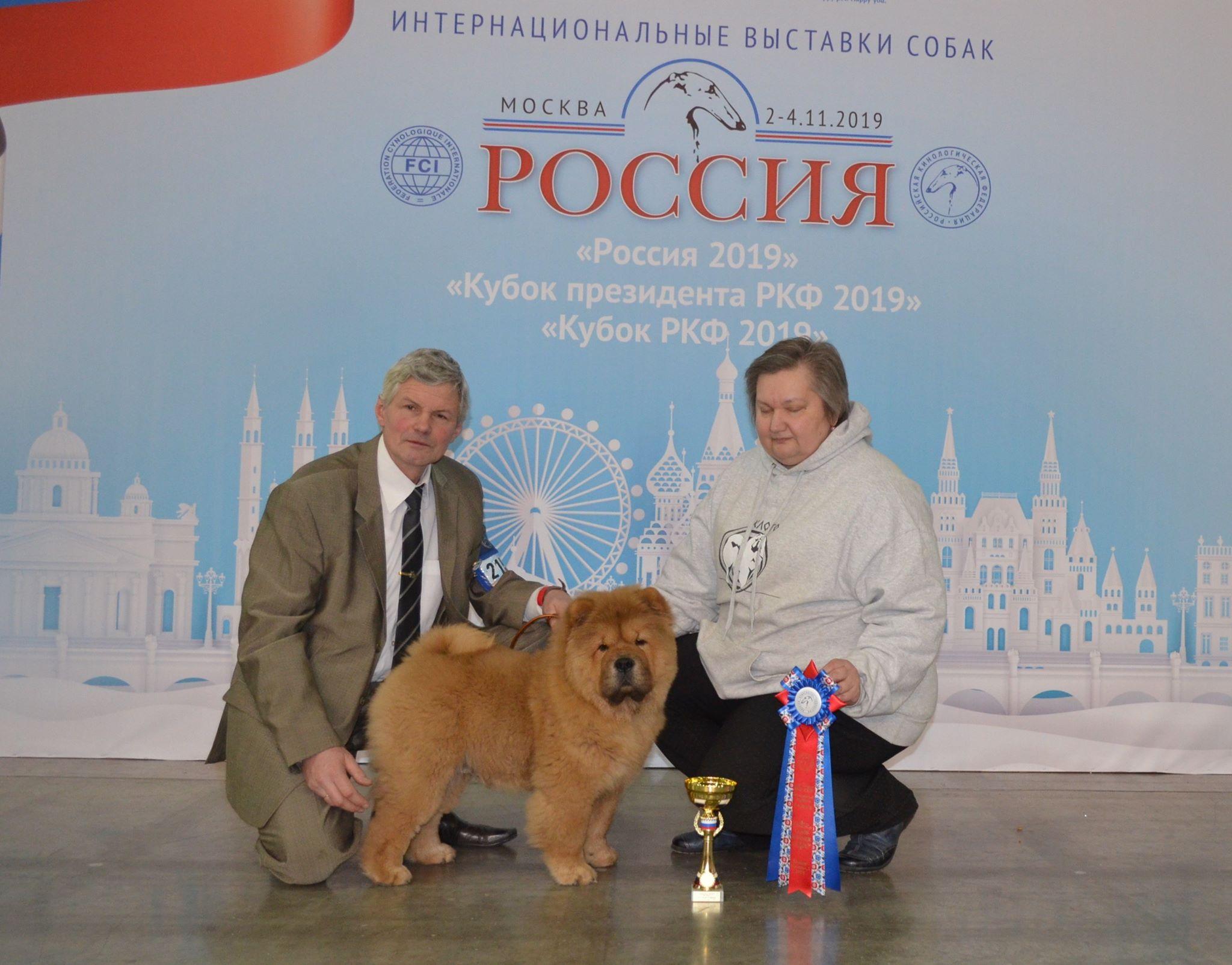 Сеня первая выставка  16.02.2013, ЛБ