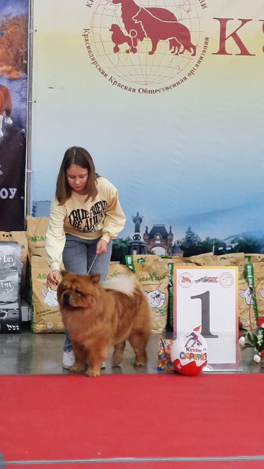 Клото Стефания Гуанчжоу