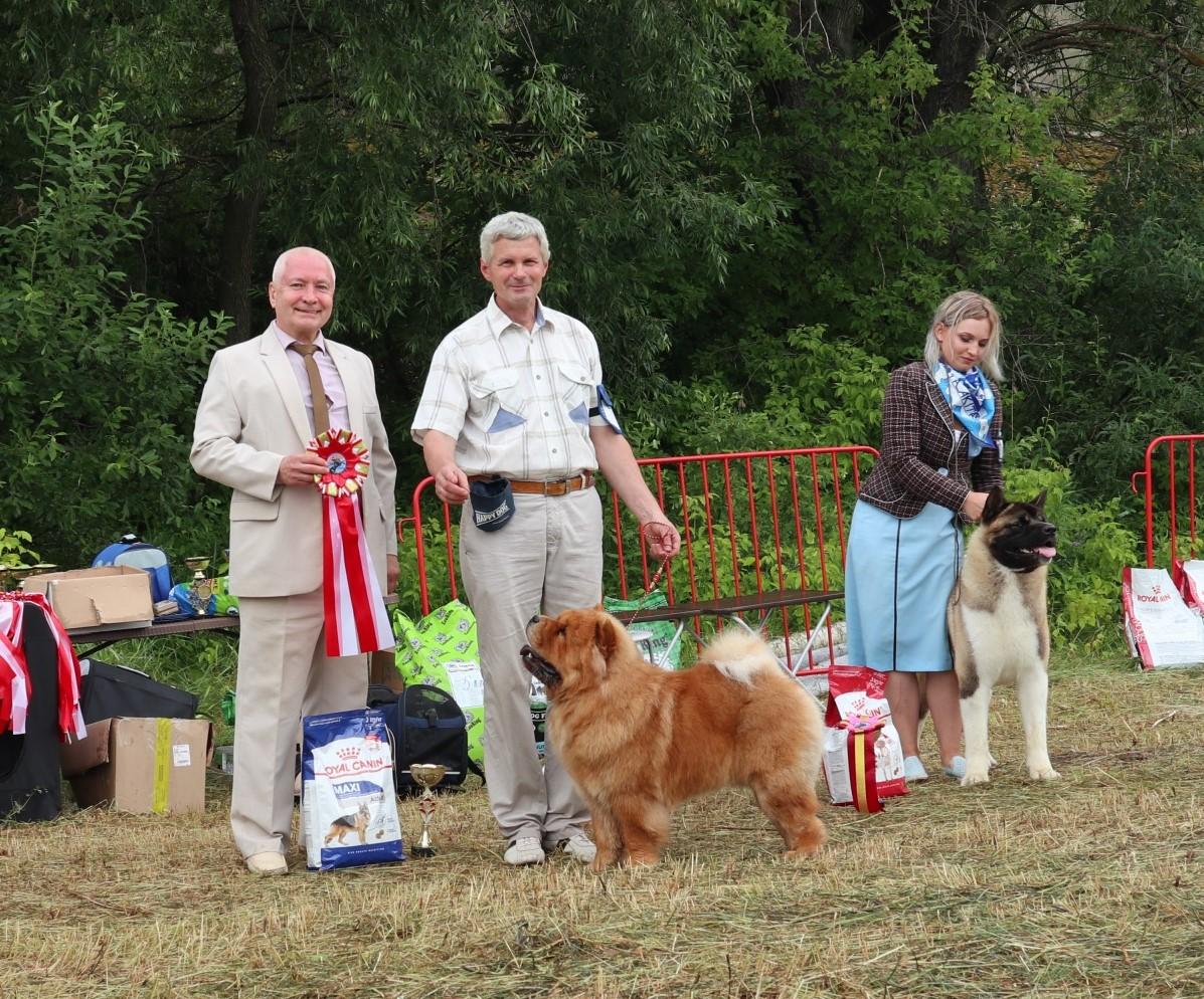 Сеня - 15 месяцев - Фауна - 08.02.2014 - отл., CW, САС, ЧФ