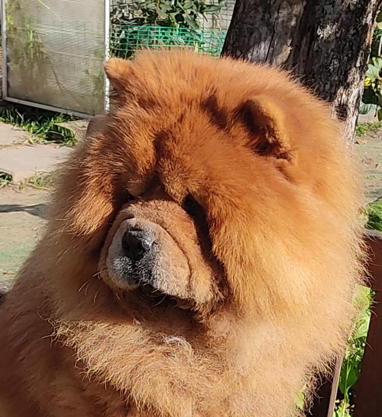 Сеня - 10 лет 