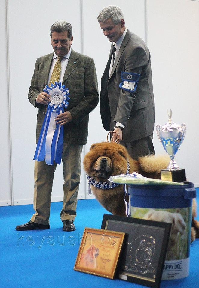 Сеня - 3 года - моно "Золотое Руно - 2016" - 06.11.2015г. - отл.1, CW, ЛК, ЛПП