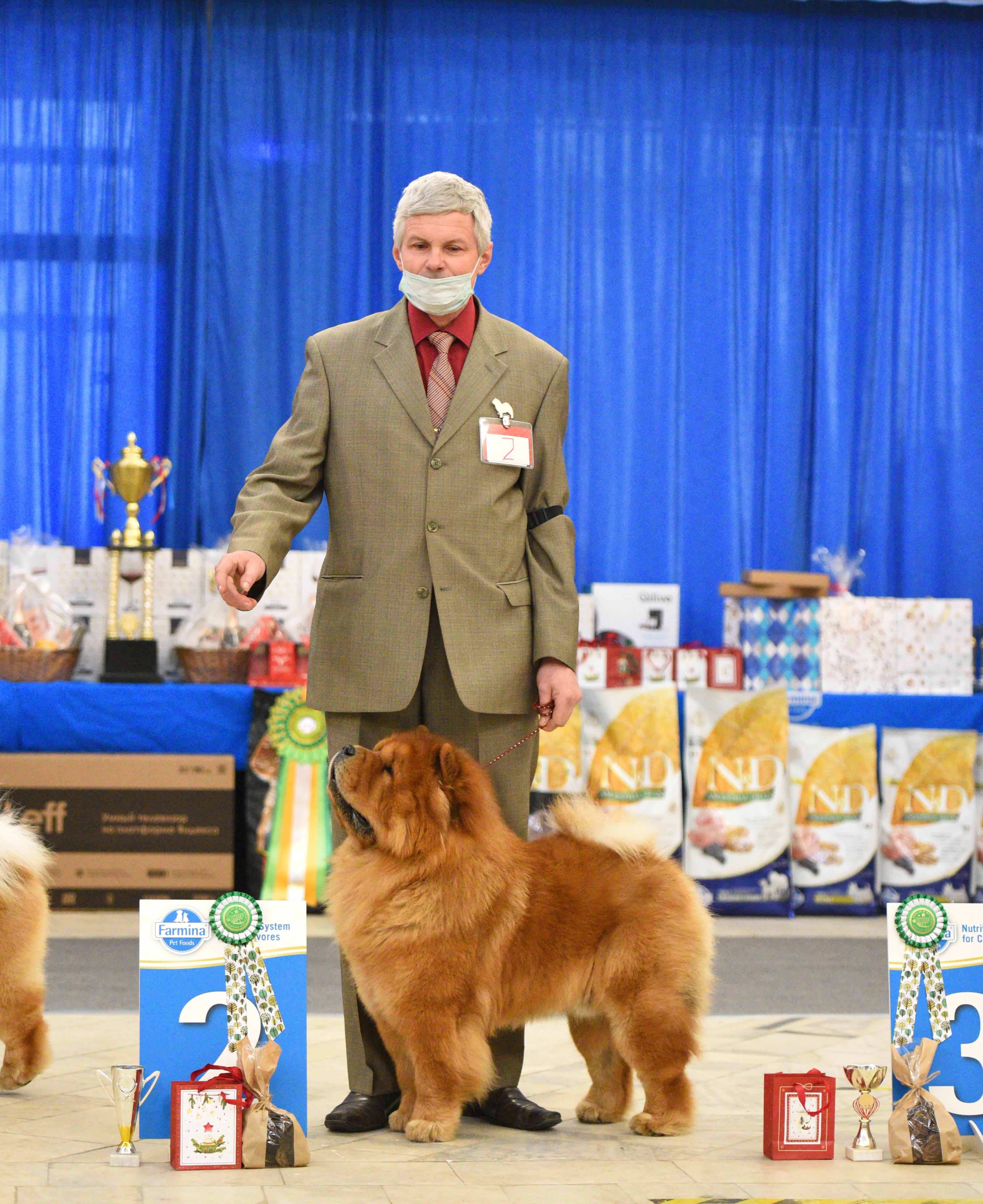 Сеня - 15 месяцев - Фауна - 08.02.2014 - отл., CW, САС, ЧФ