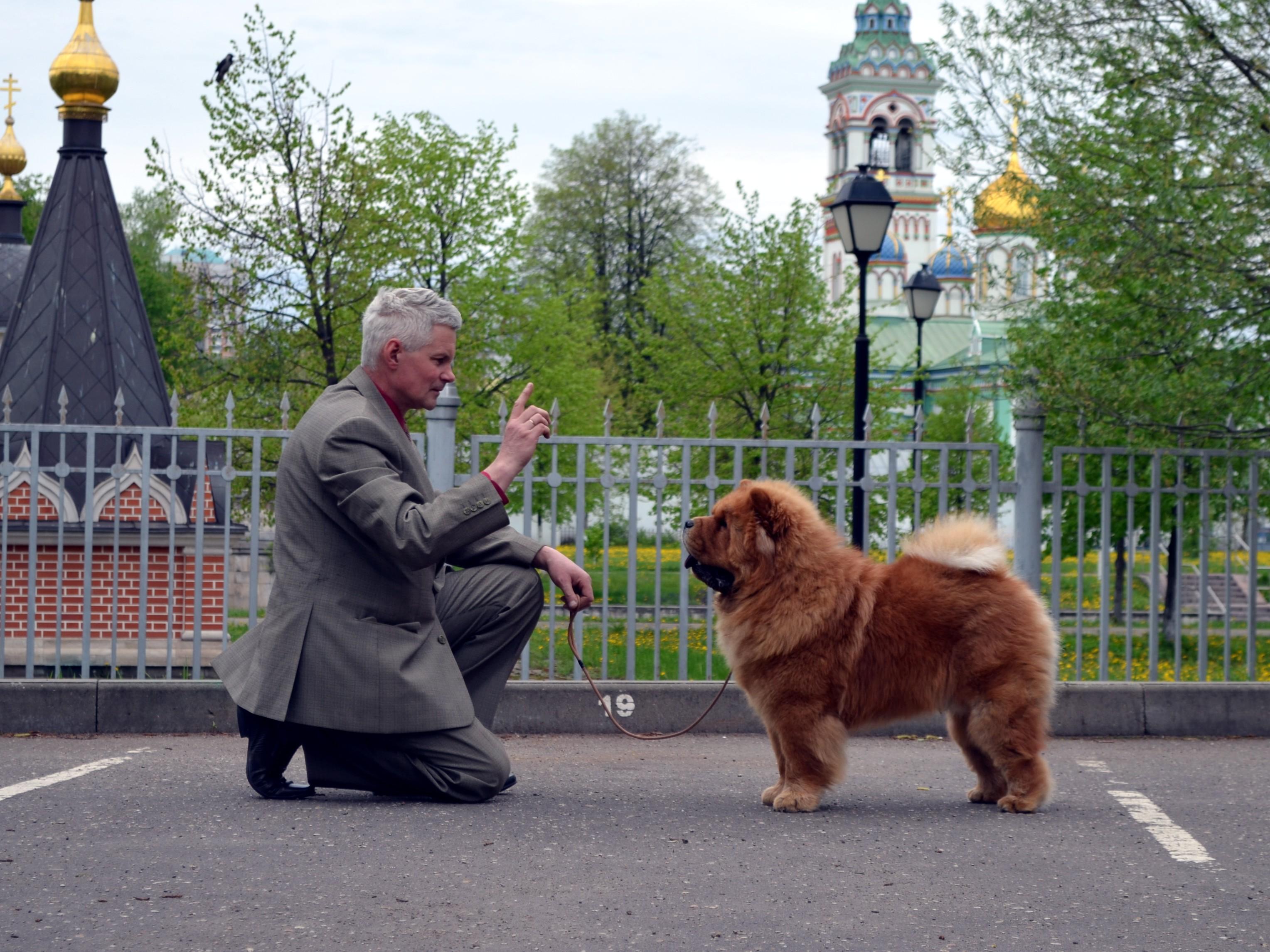 OSENNIY POTSELUY FAIER STALKER (Сеня)
