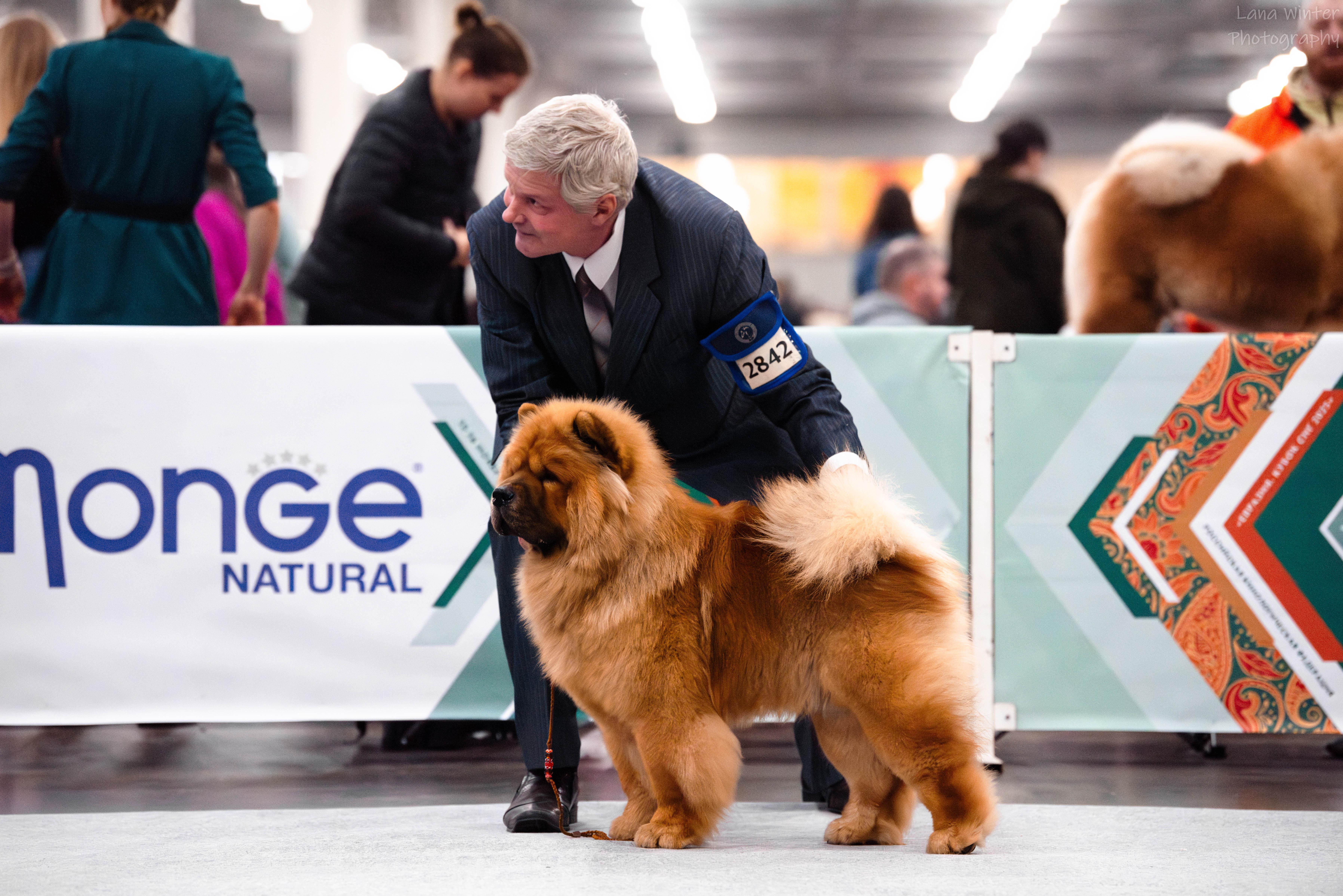 Сеня первая выставка  16.02.2013, ЛБ