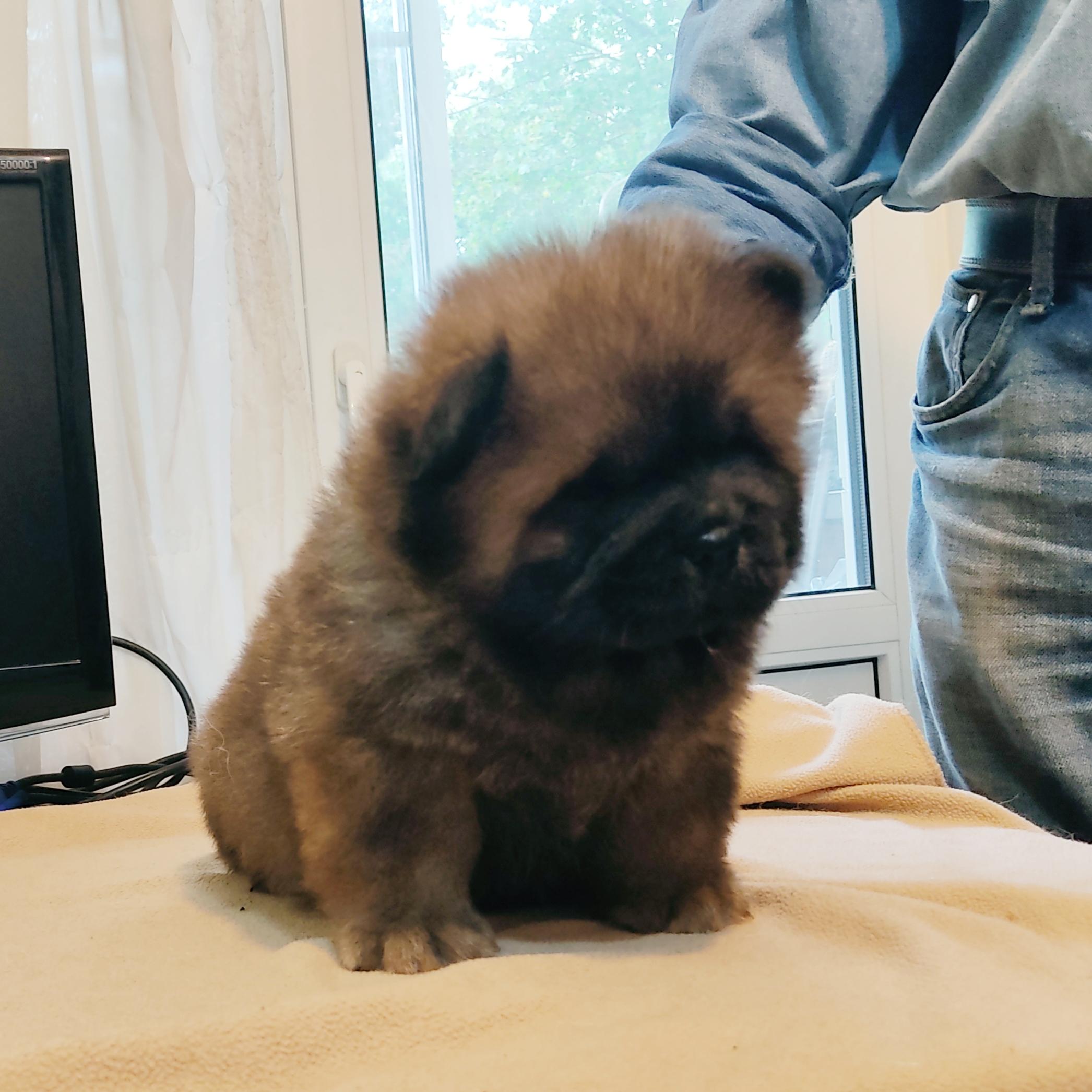 Клото Стефания Гуанчжоу