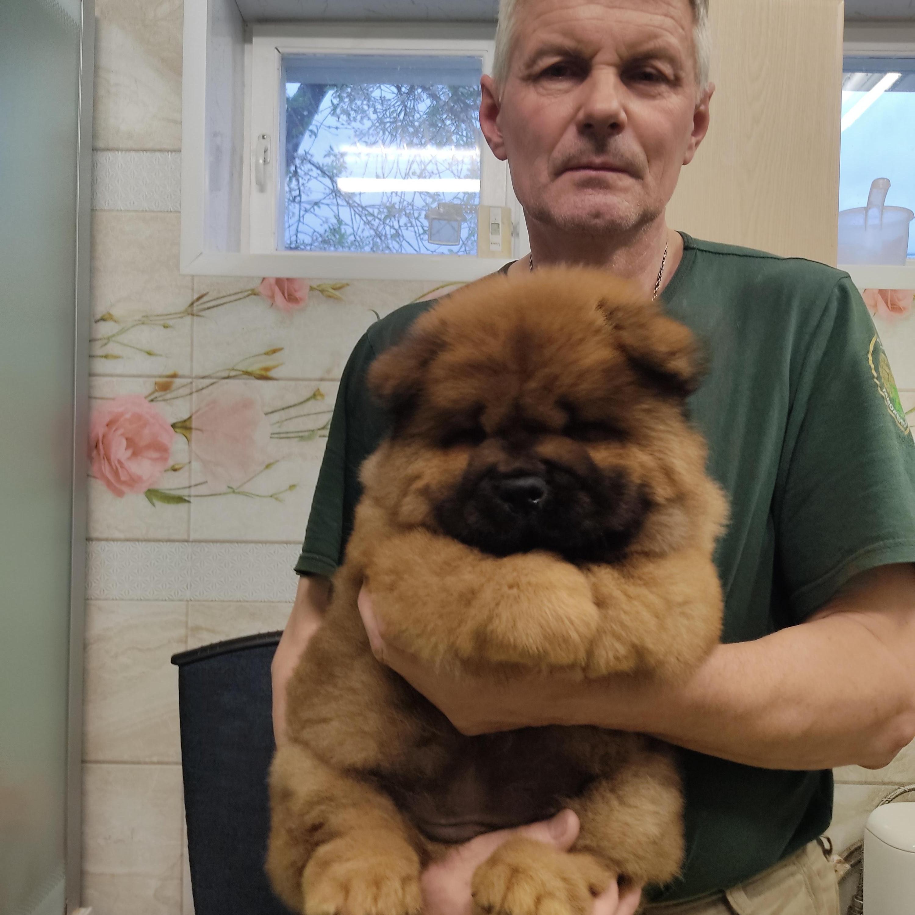 Клото Сани Анджонг