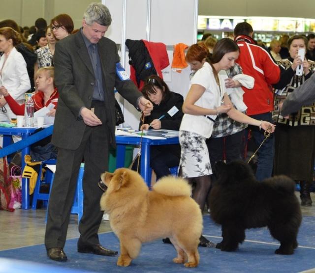 Сеня - 5 месяцев - Евразия-2013  23.03.2013 оч.пер.-2