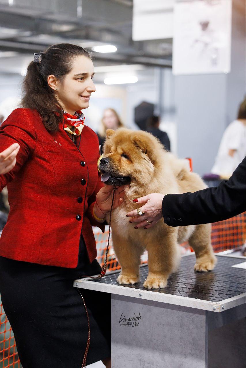 25.10.2025 Hip-Hop Djalo 