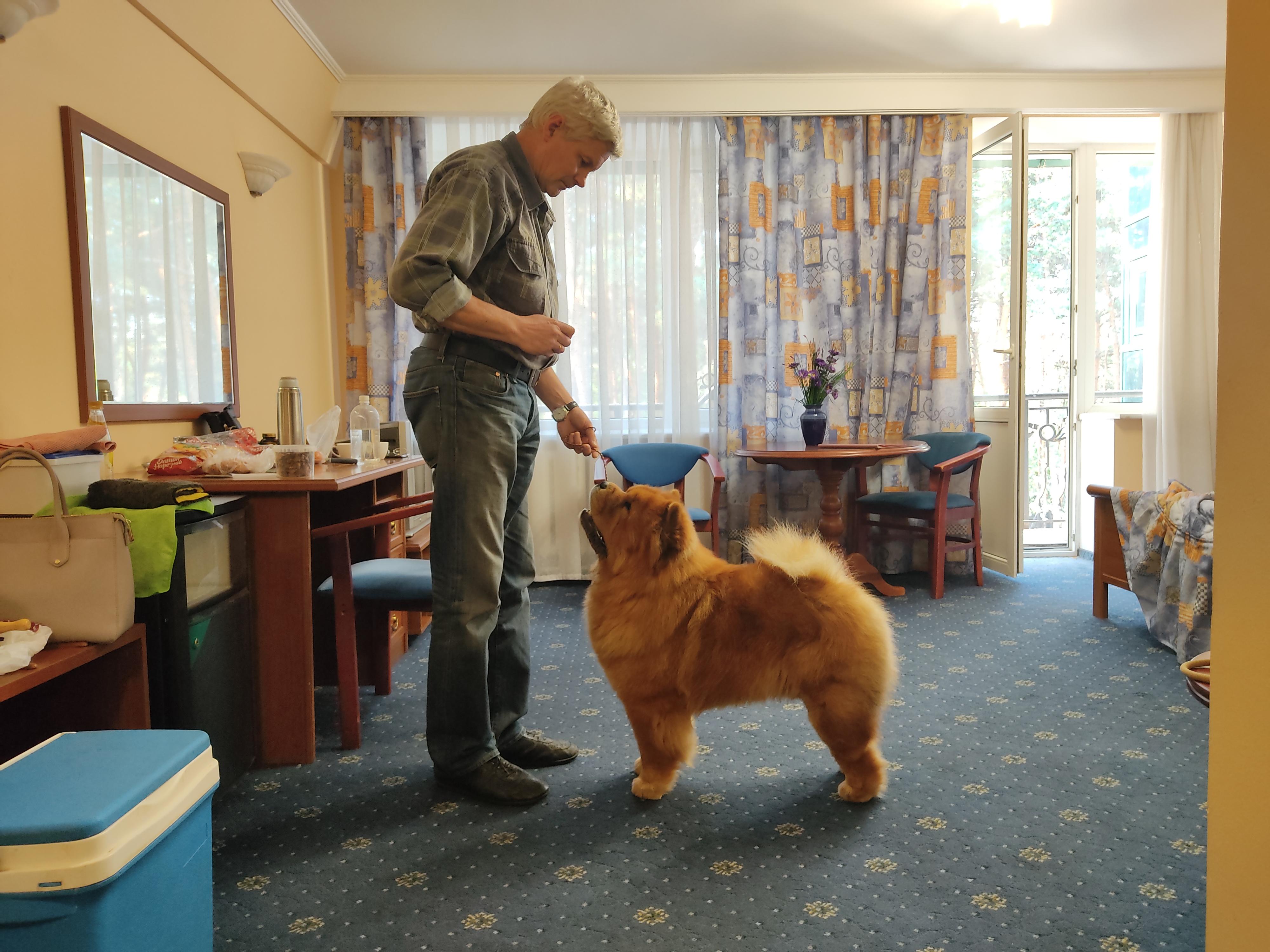 Сеня - 2,5 года - Евразия-2015 - 21.03.2015г. - отл. 3