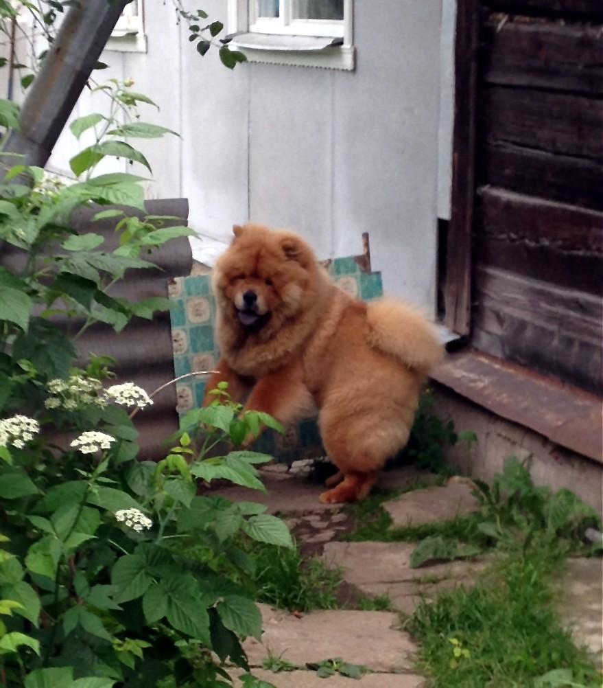 Сеня 8 месяцев