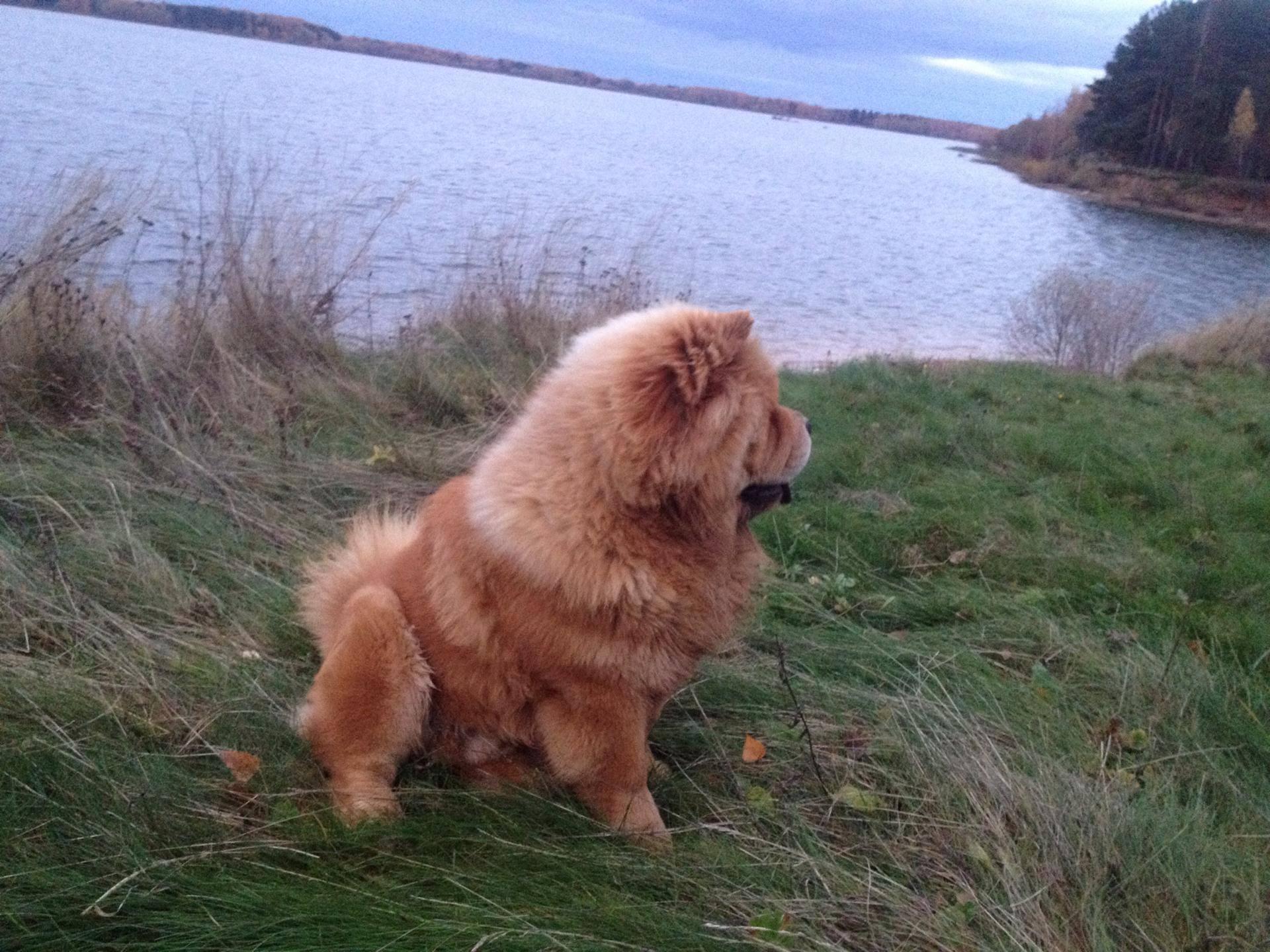 Клото Сани Анджонг