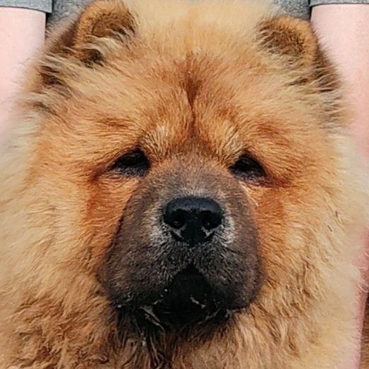 Сеня 7 месяцев